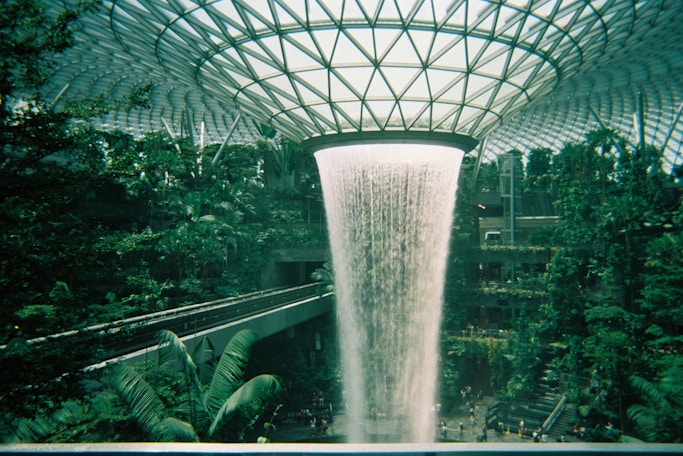 a waterfall in the middle of a tropical garden
