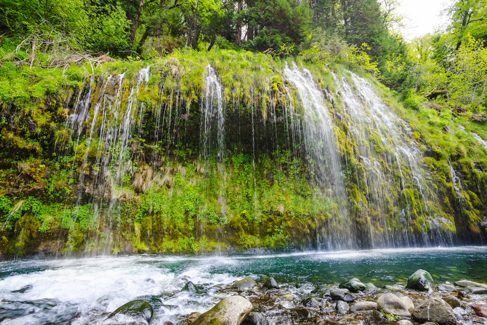 Una pequeña cascada en medio de un bosque