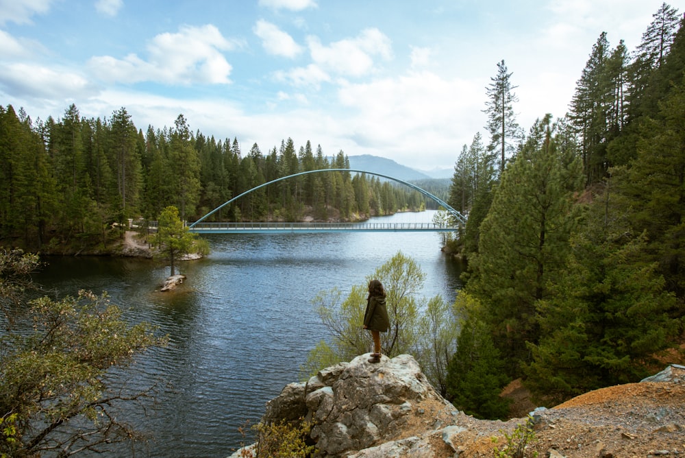 a person standing on a rock overlooking a river