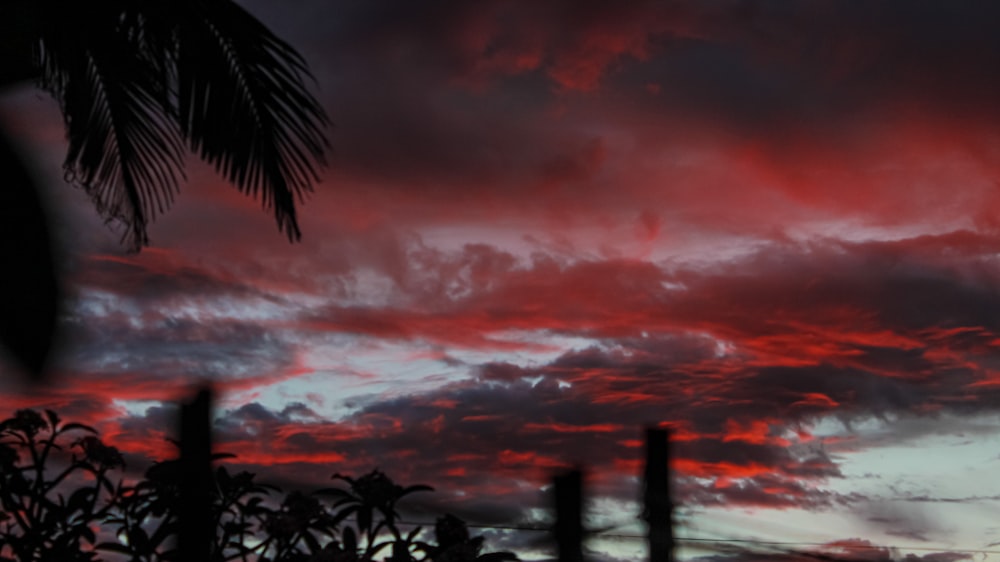 a red sky with clouds and trees in the foreground