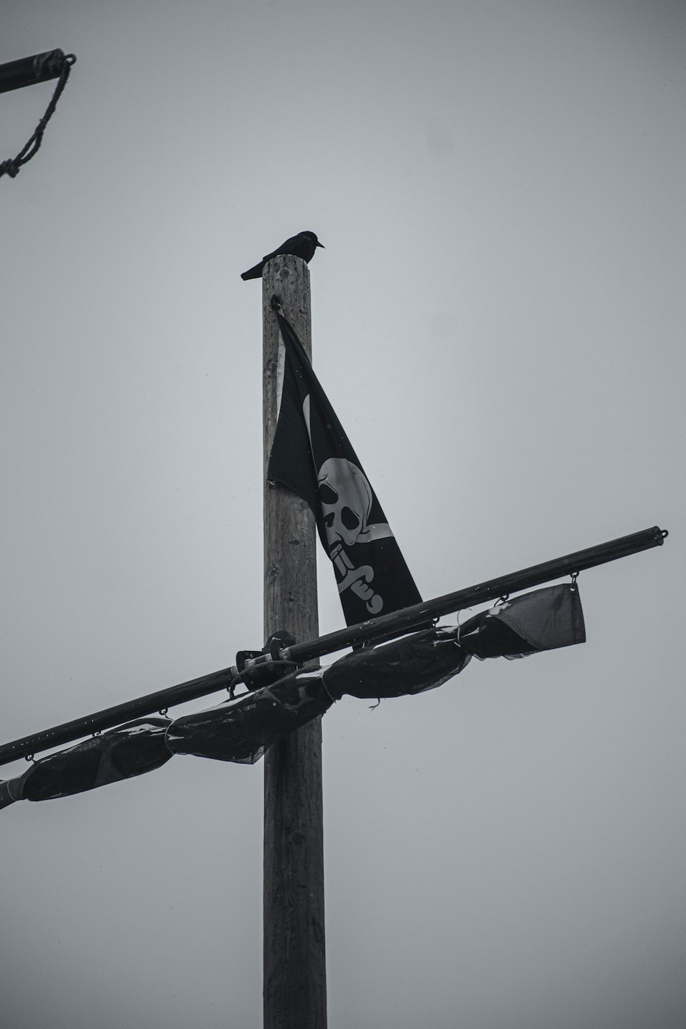 a black and white photo of a bird sitting on top of a pole