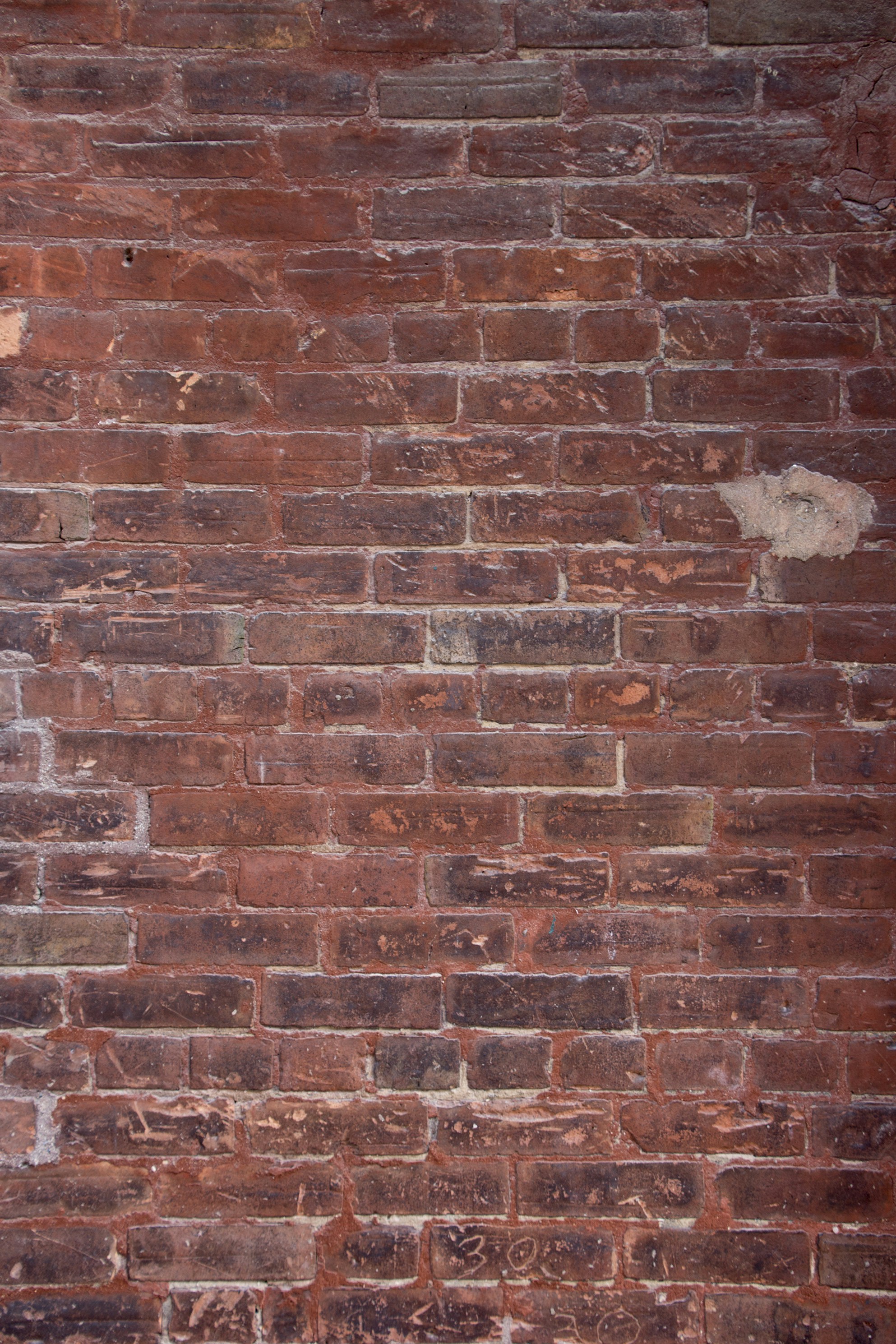 Photo by littlebearhugs