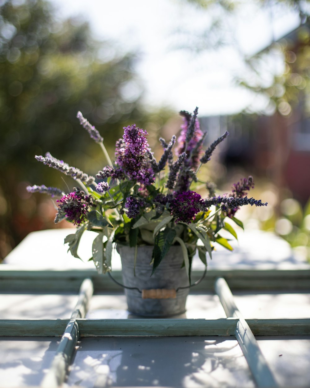 a potted plant sitting on top of a wooden table