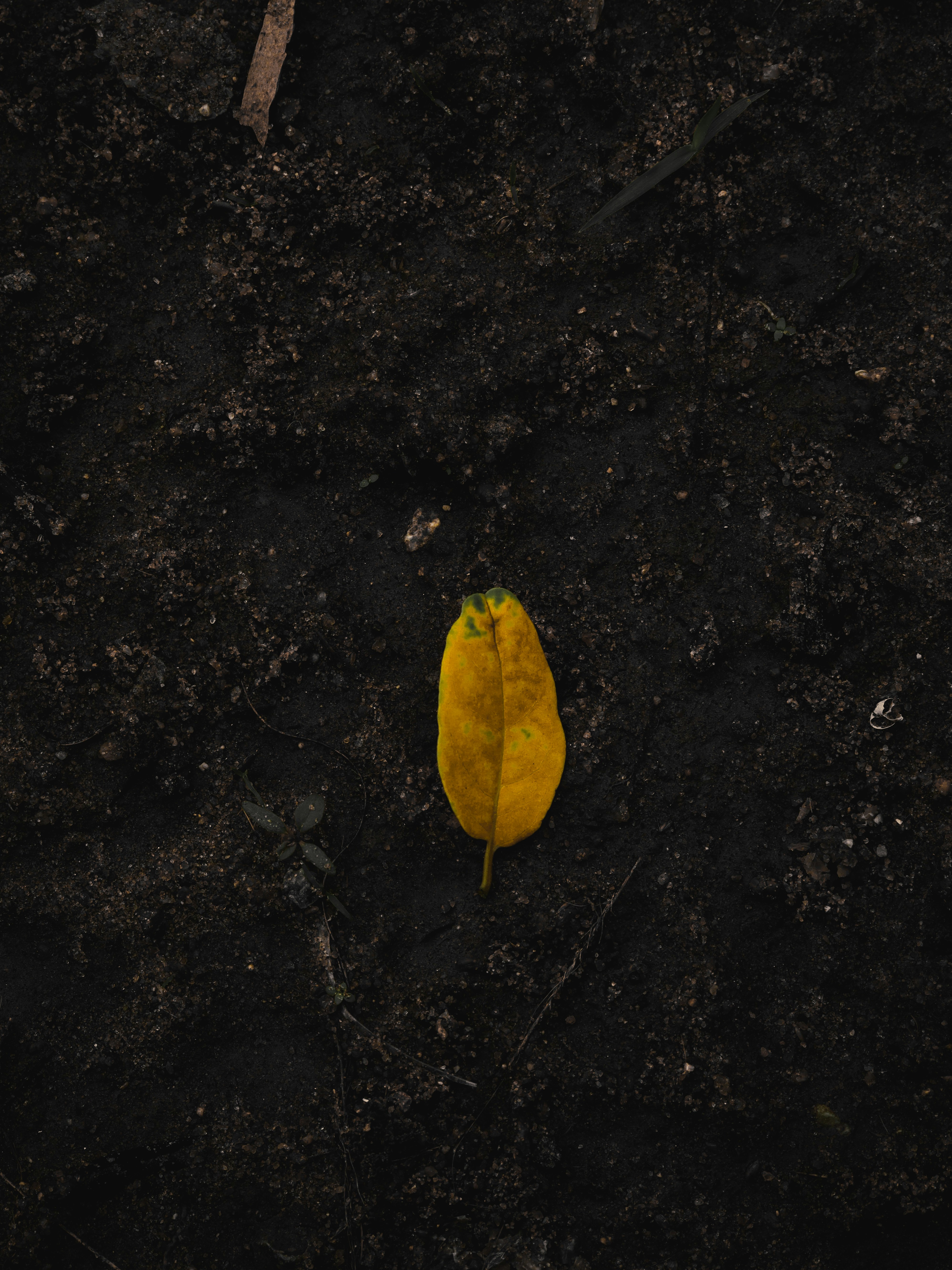 Photo by mariyan_rajesh