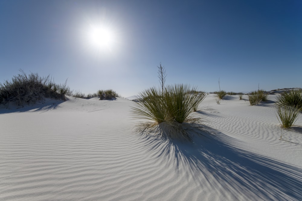 the sun is shining over the sand dunes