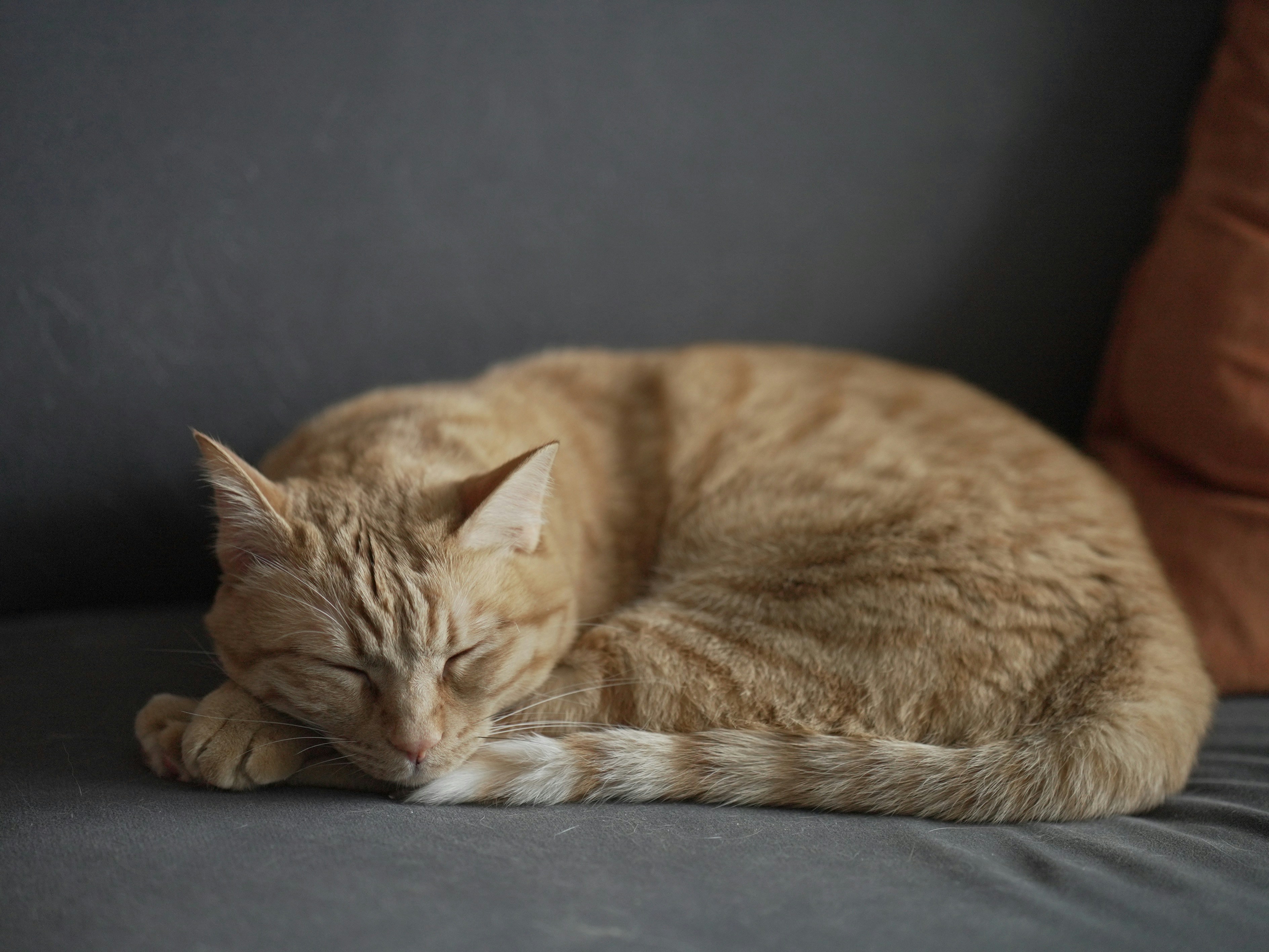 Photo by kiteriver