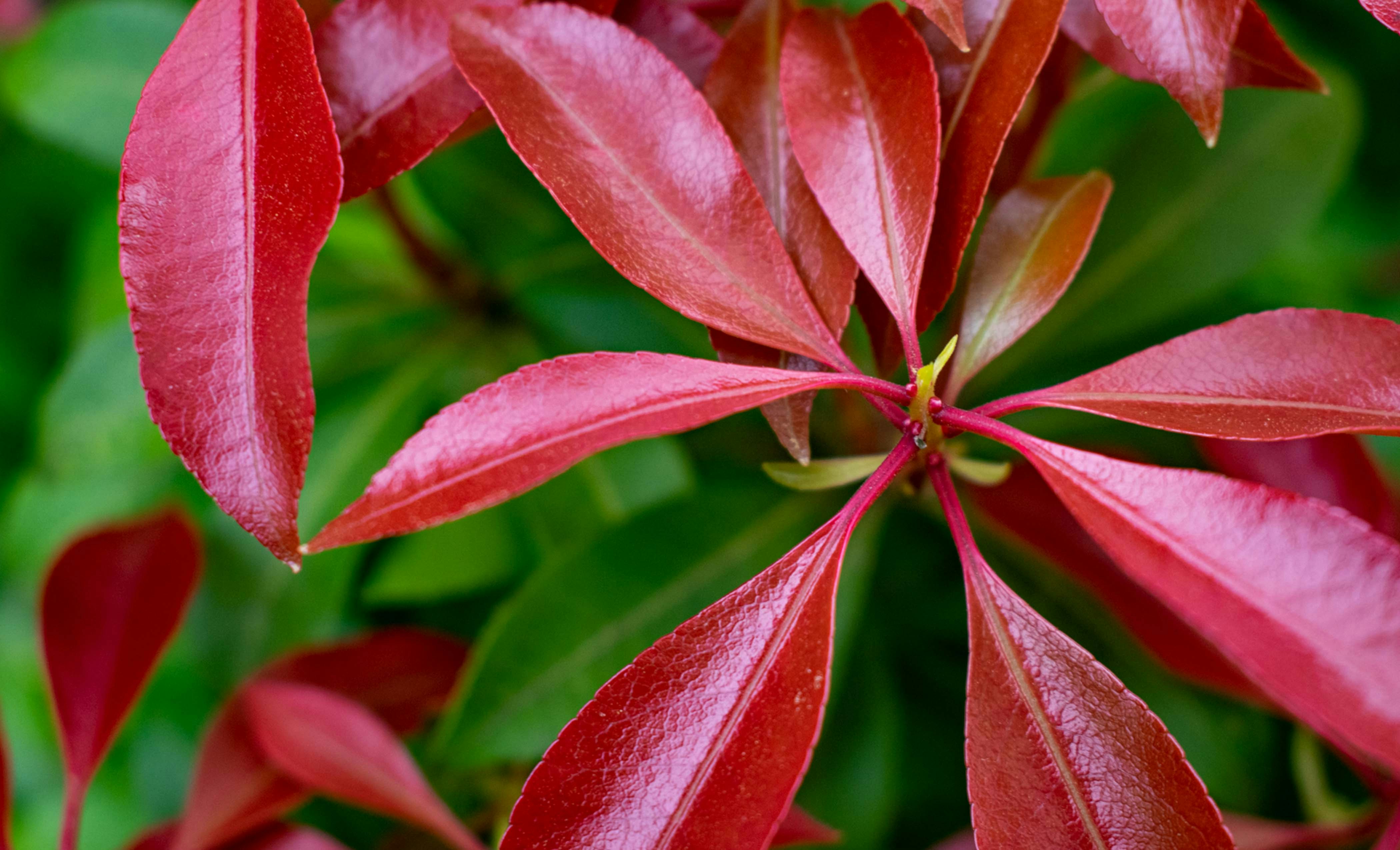 Photo by alexlowenthal