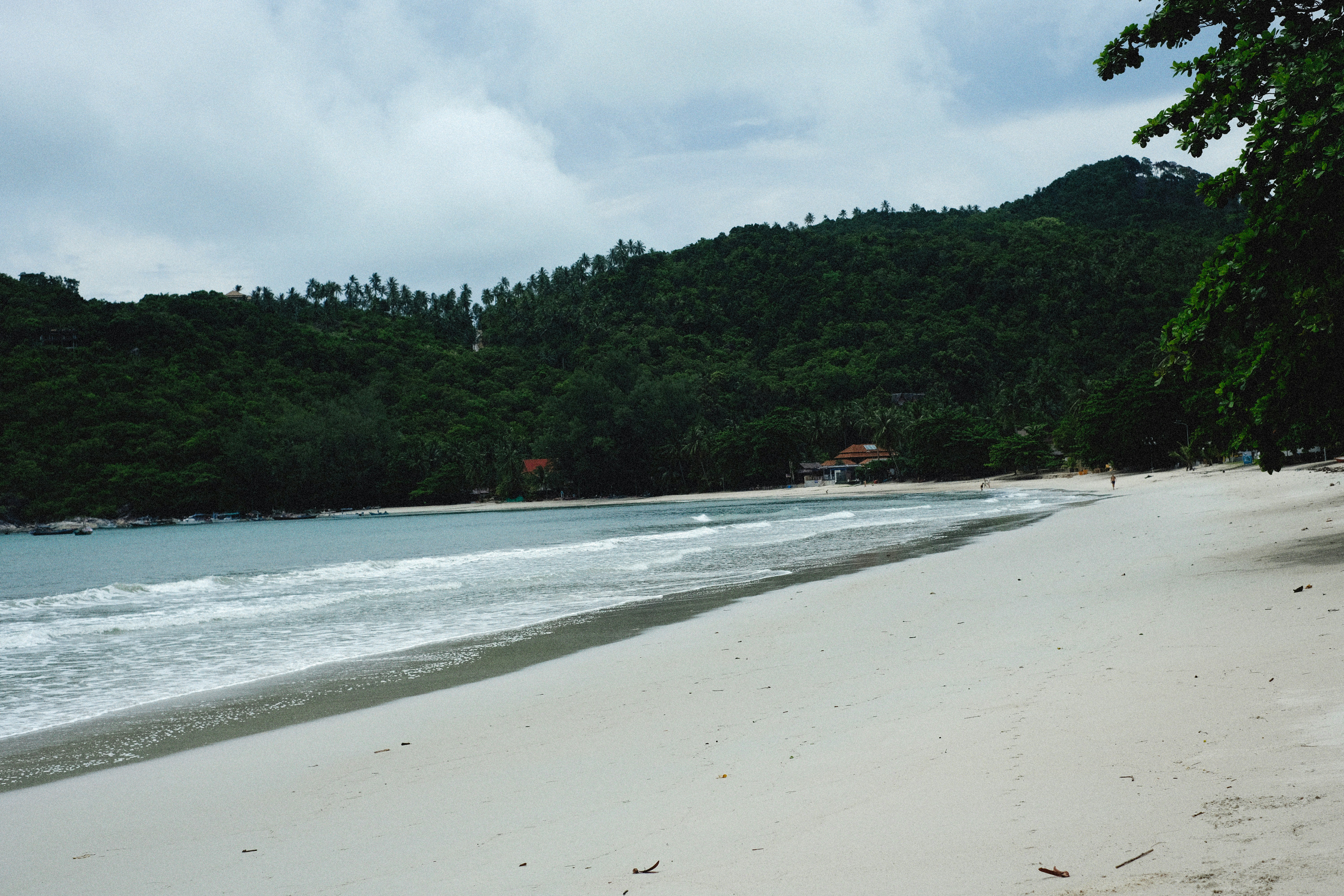 Photo by alexeydemidov