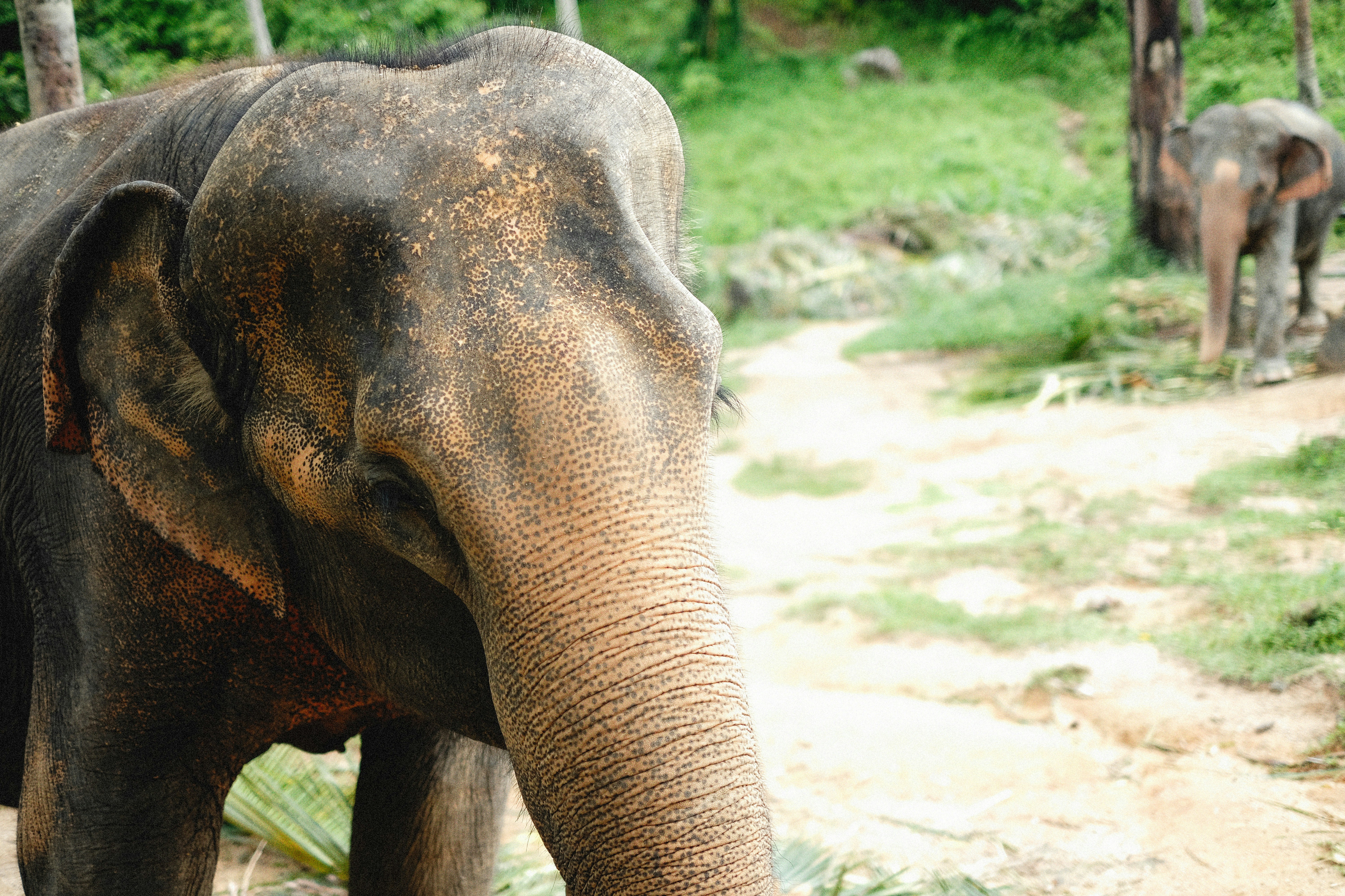 Photo by alexeydemidov