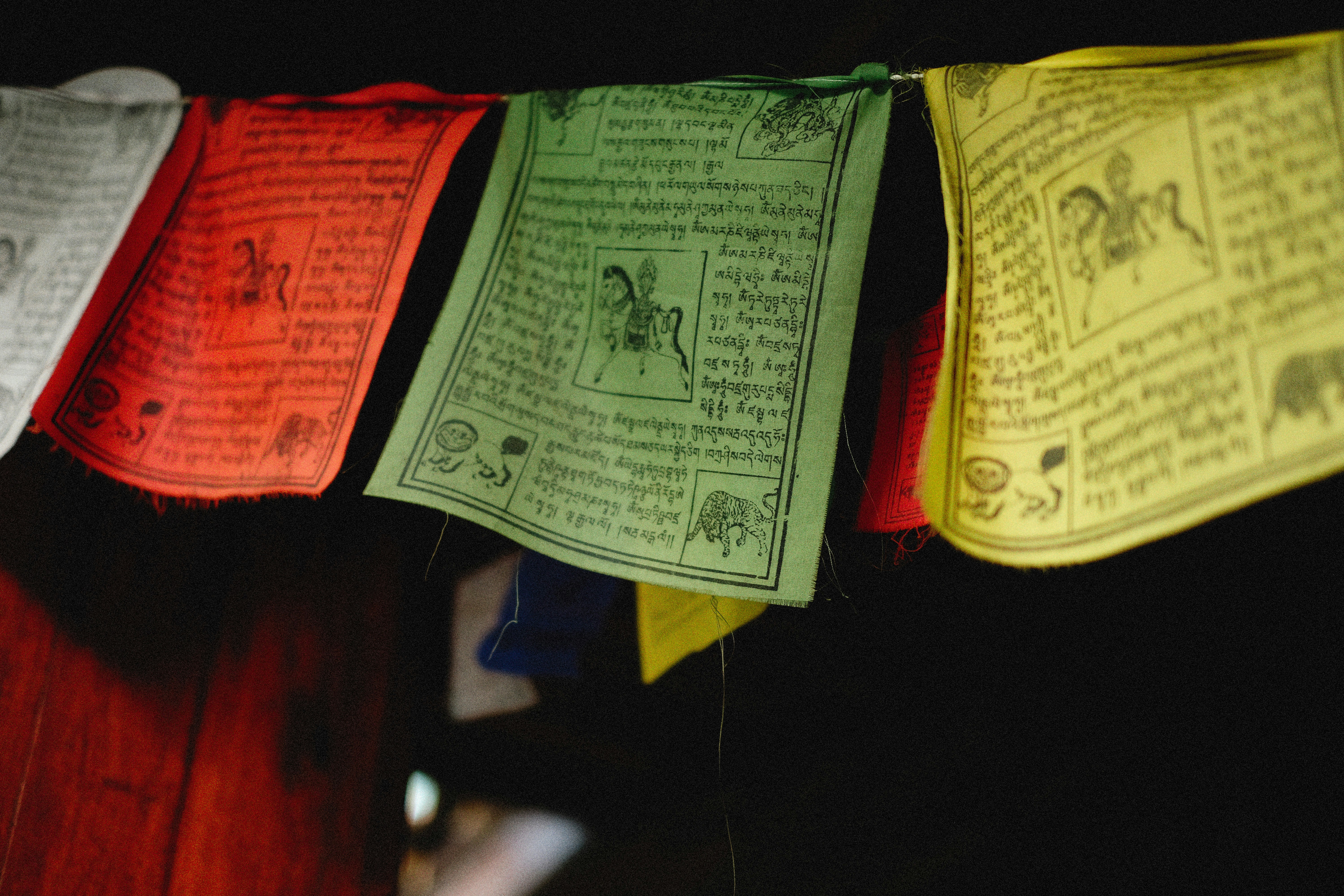 Photo by alexeydemidov