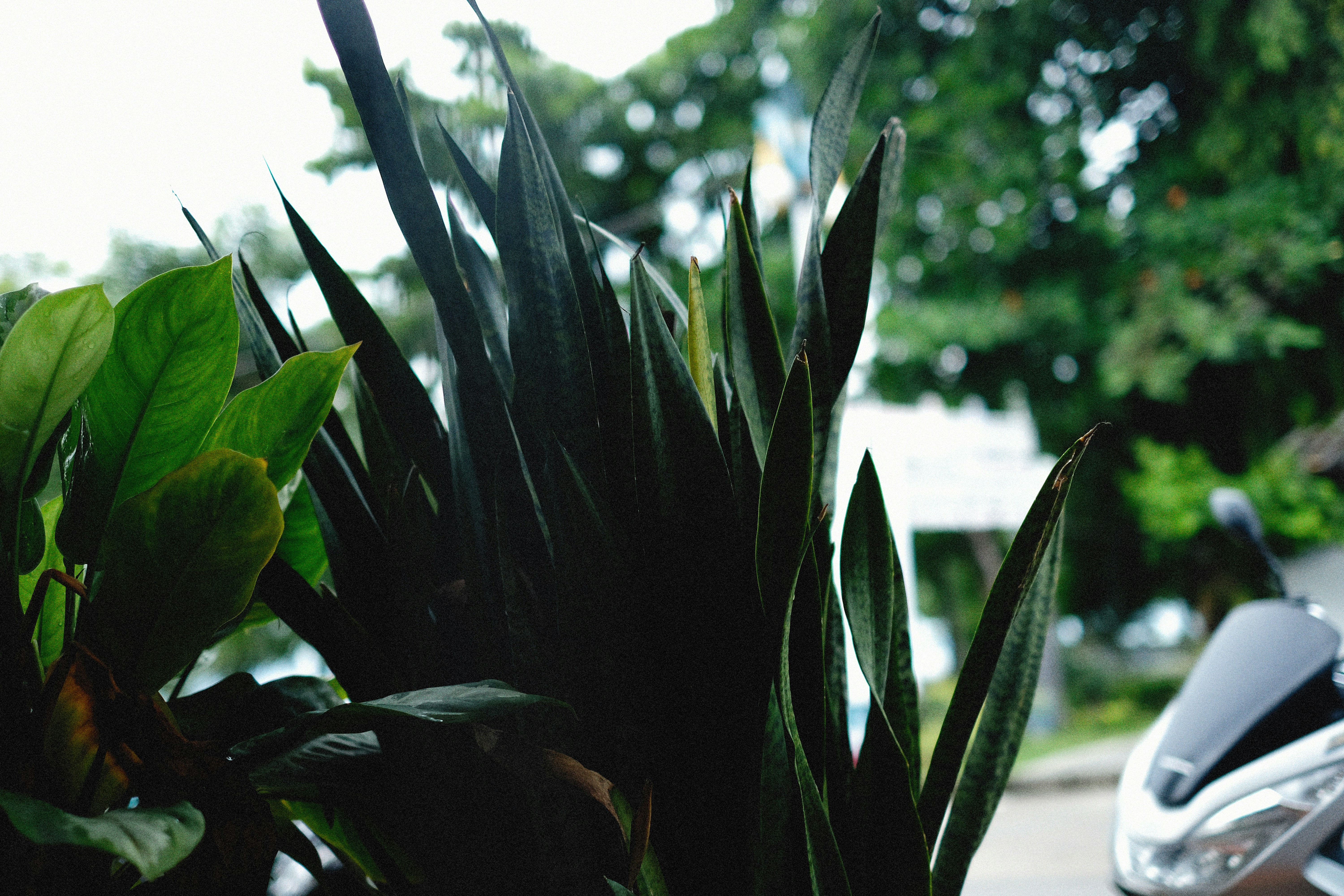 Photo by alexeydemidov