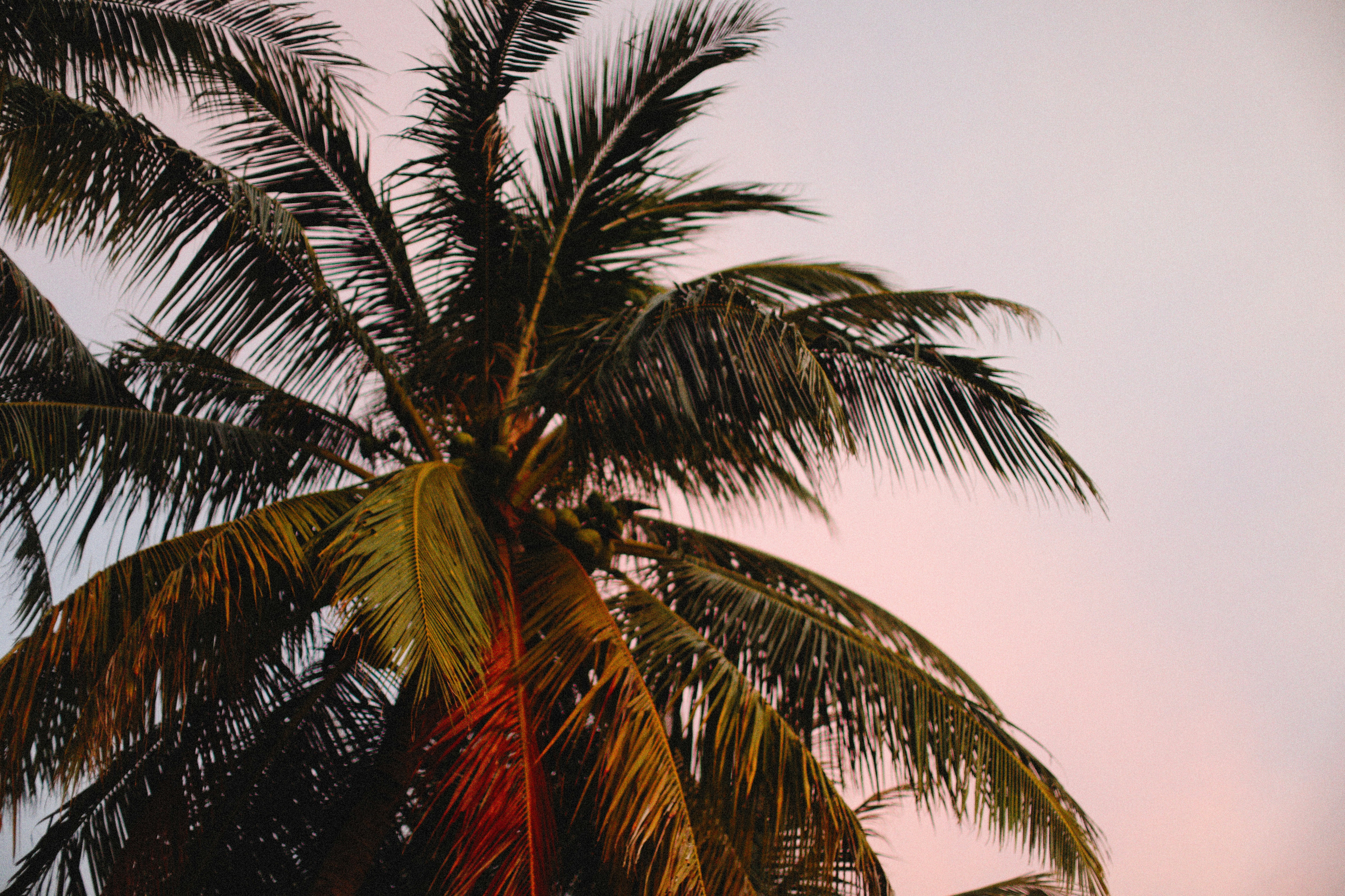 Photo by alexeydemidov