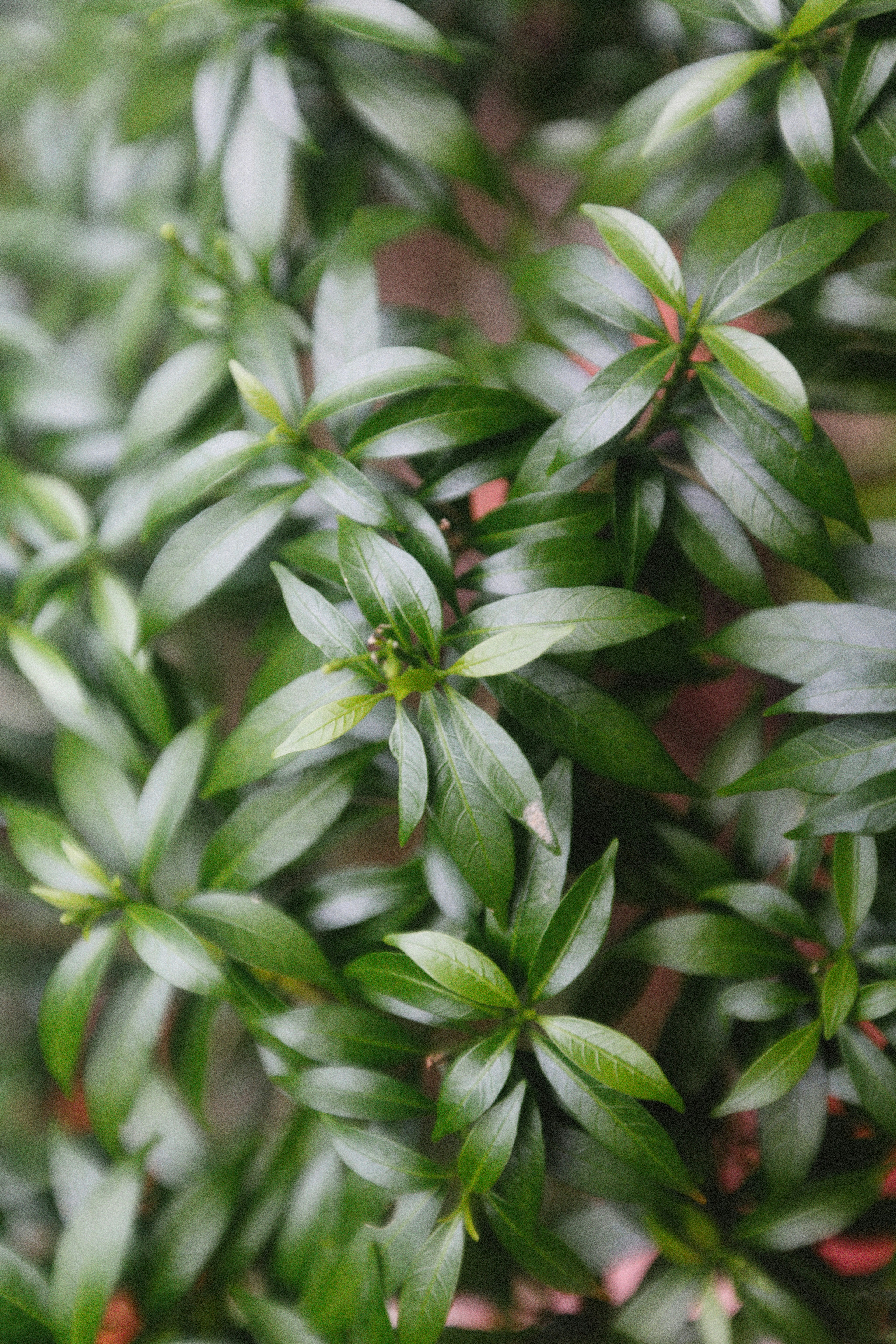 Photo by alexeydemidov