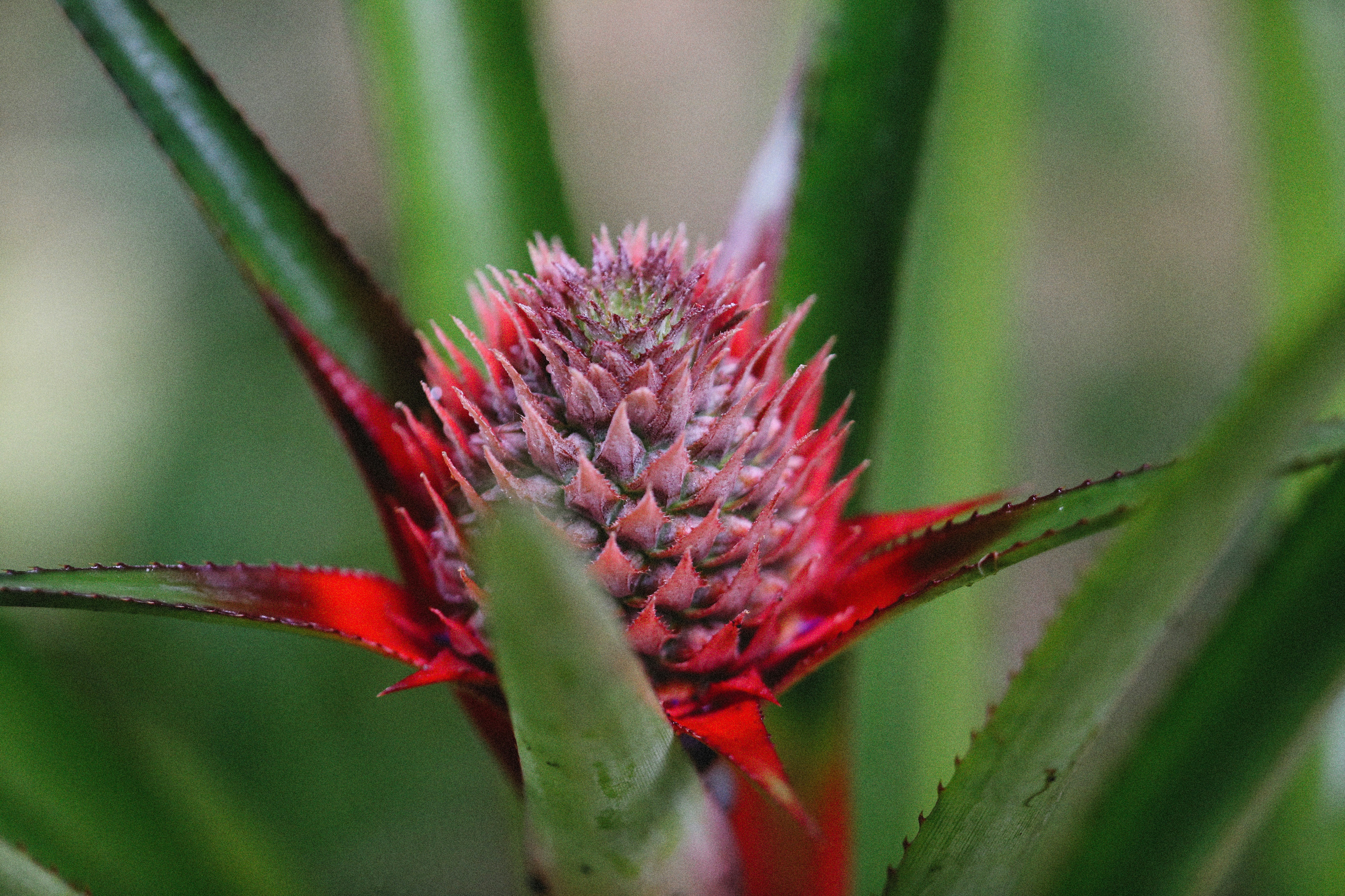 Photo by alexeydemidov