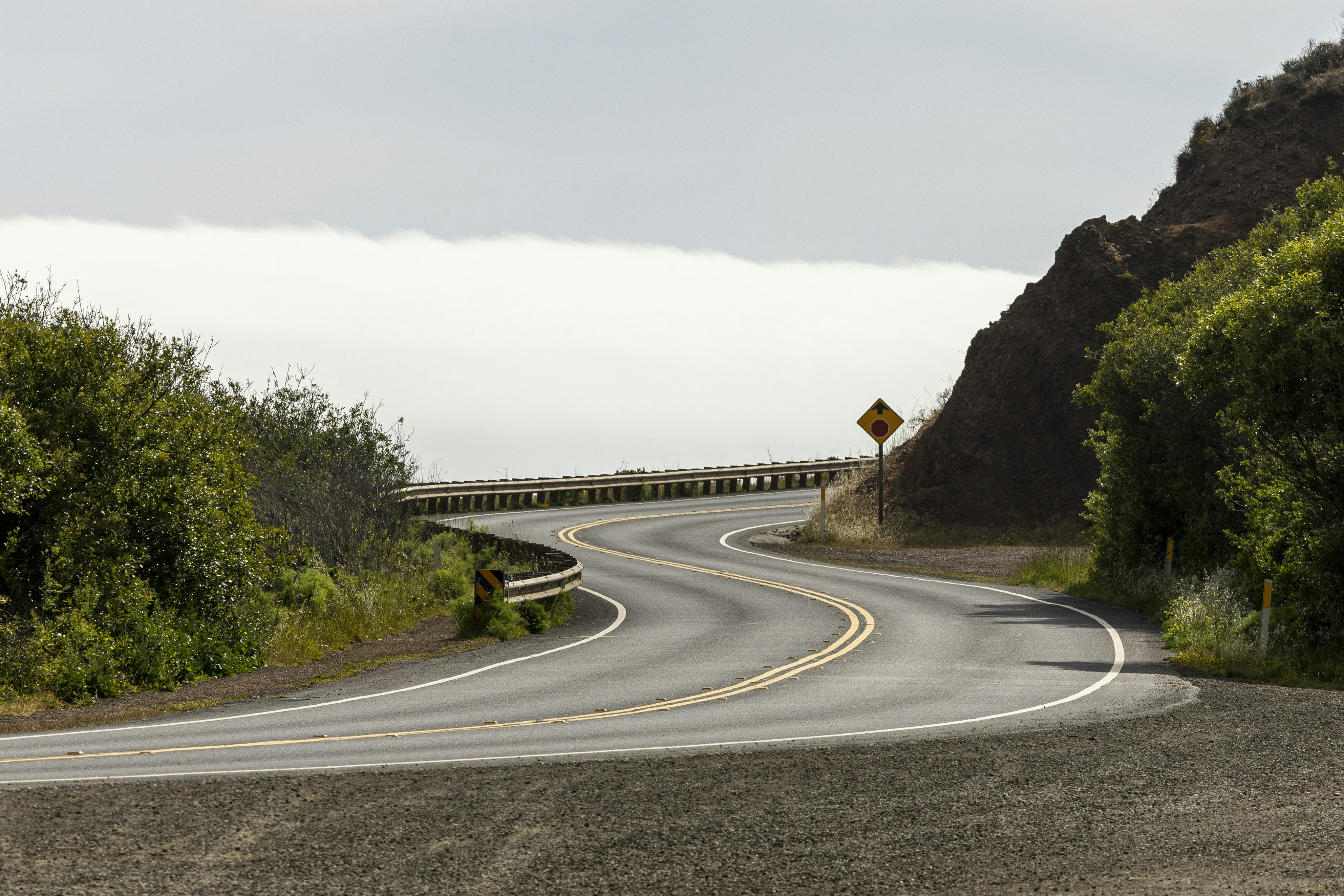 Photo by leo_visions_