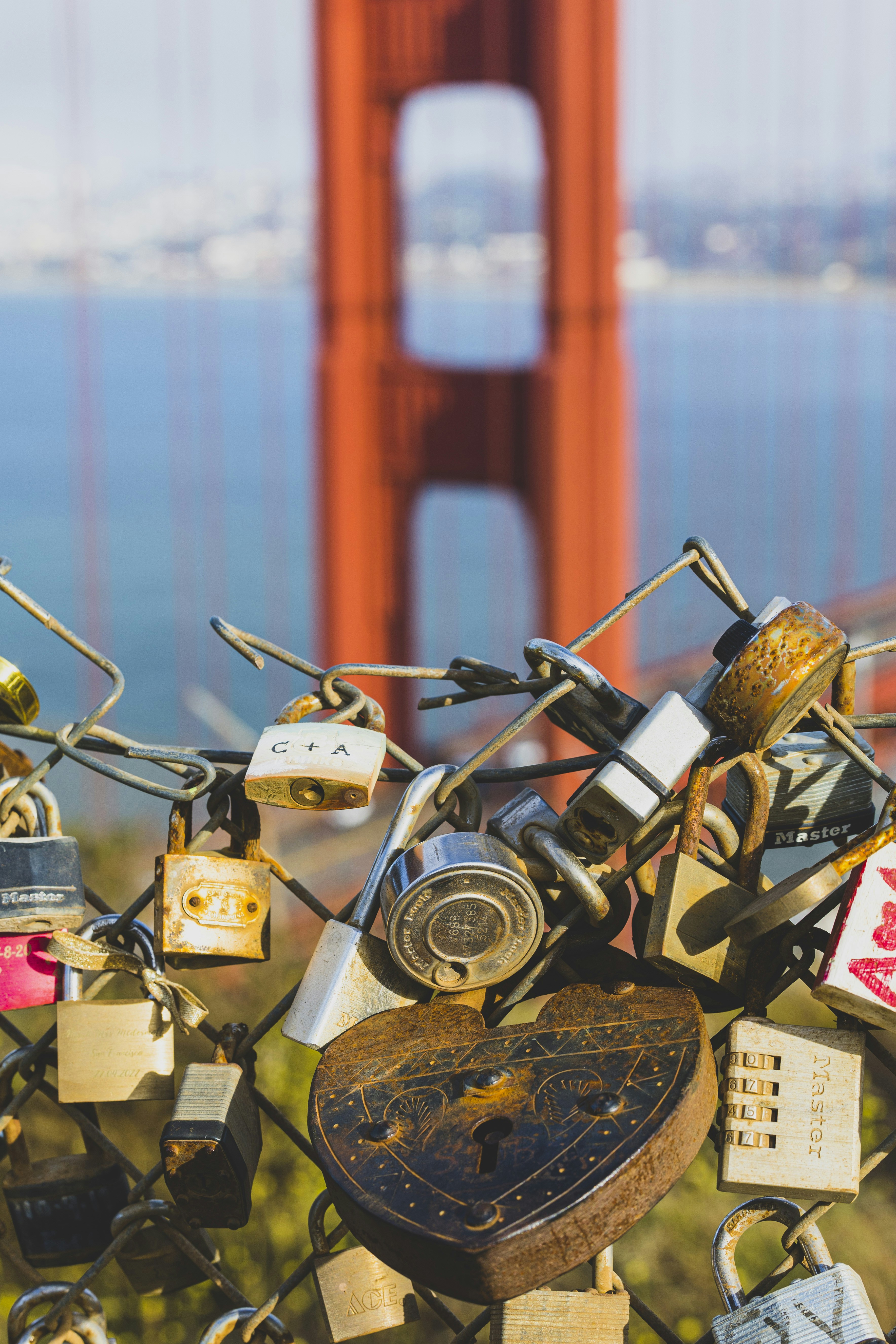 Photo by leo_visions_