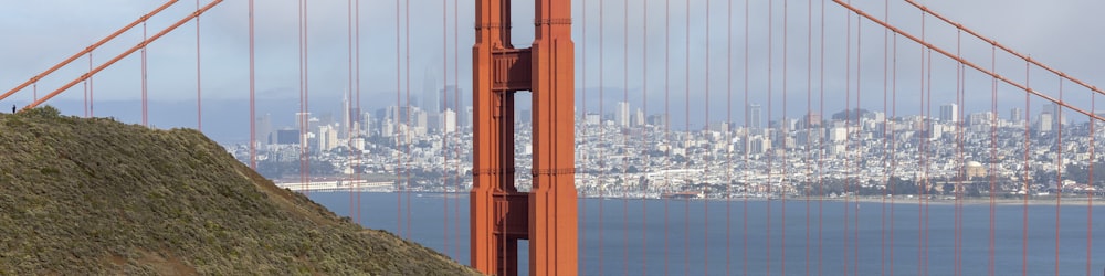 a view of the golden gate bridge from the top of a hill