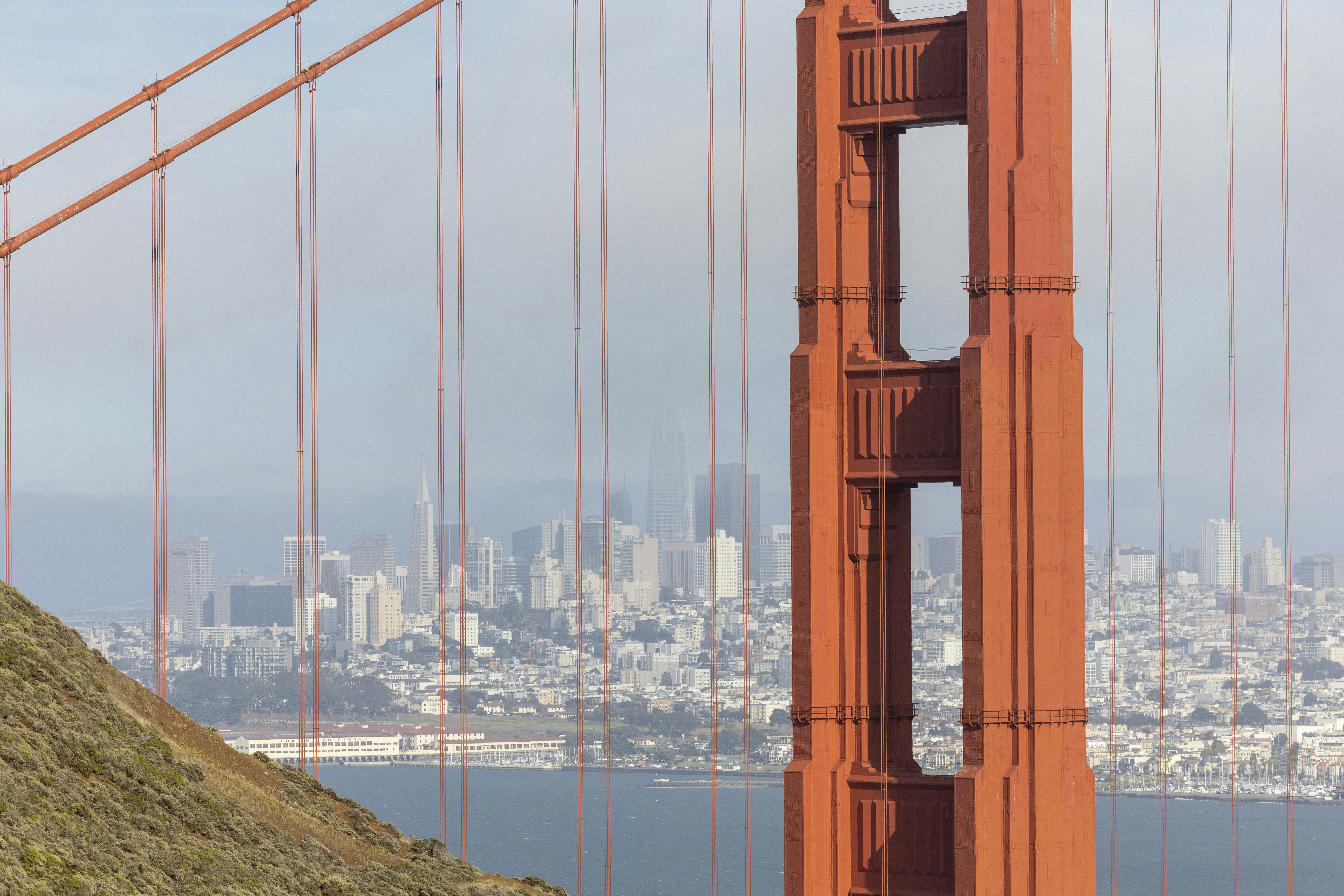 Photo by leo_visions_