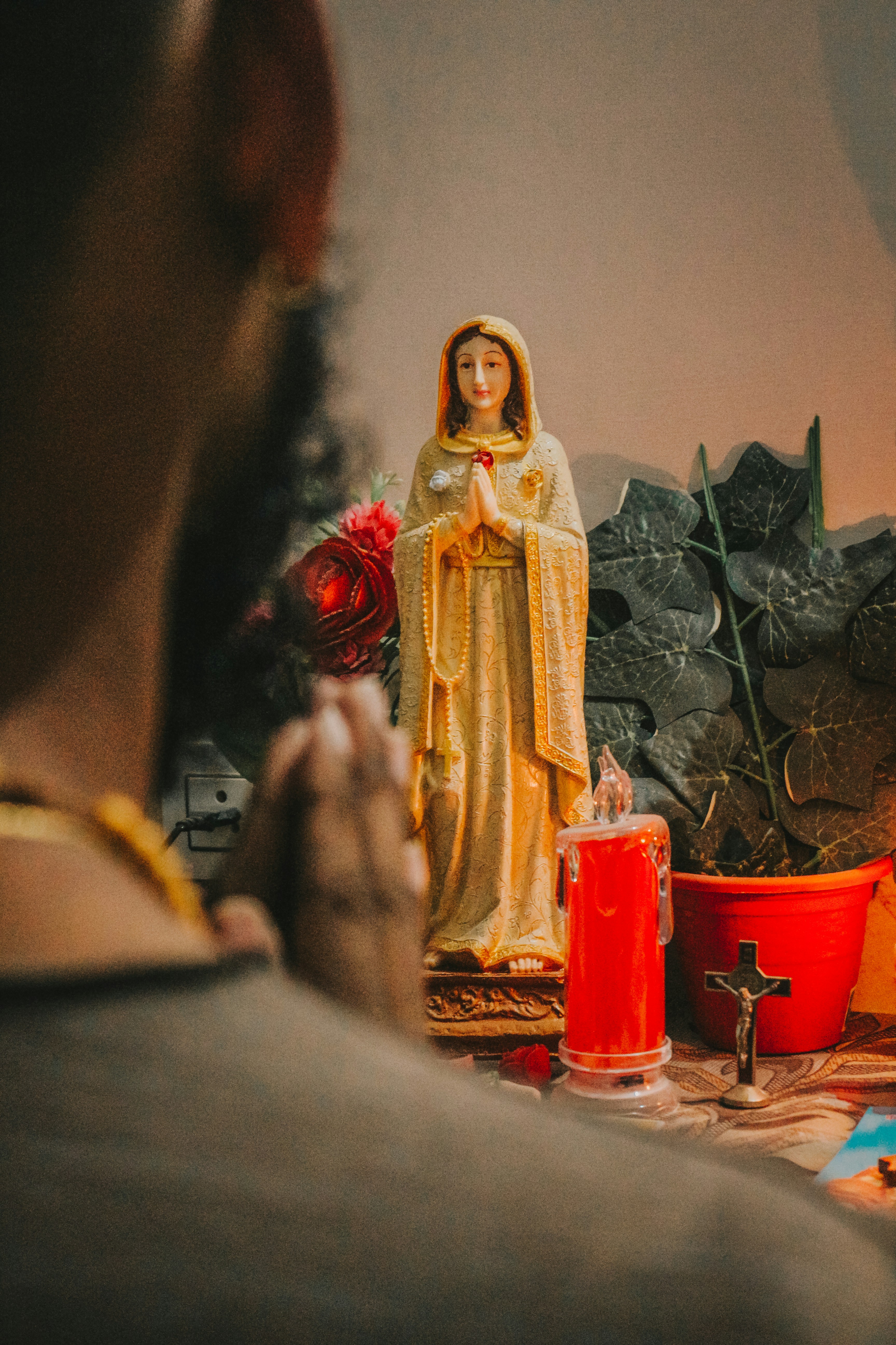 Photo by tofincreations