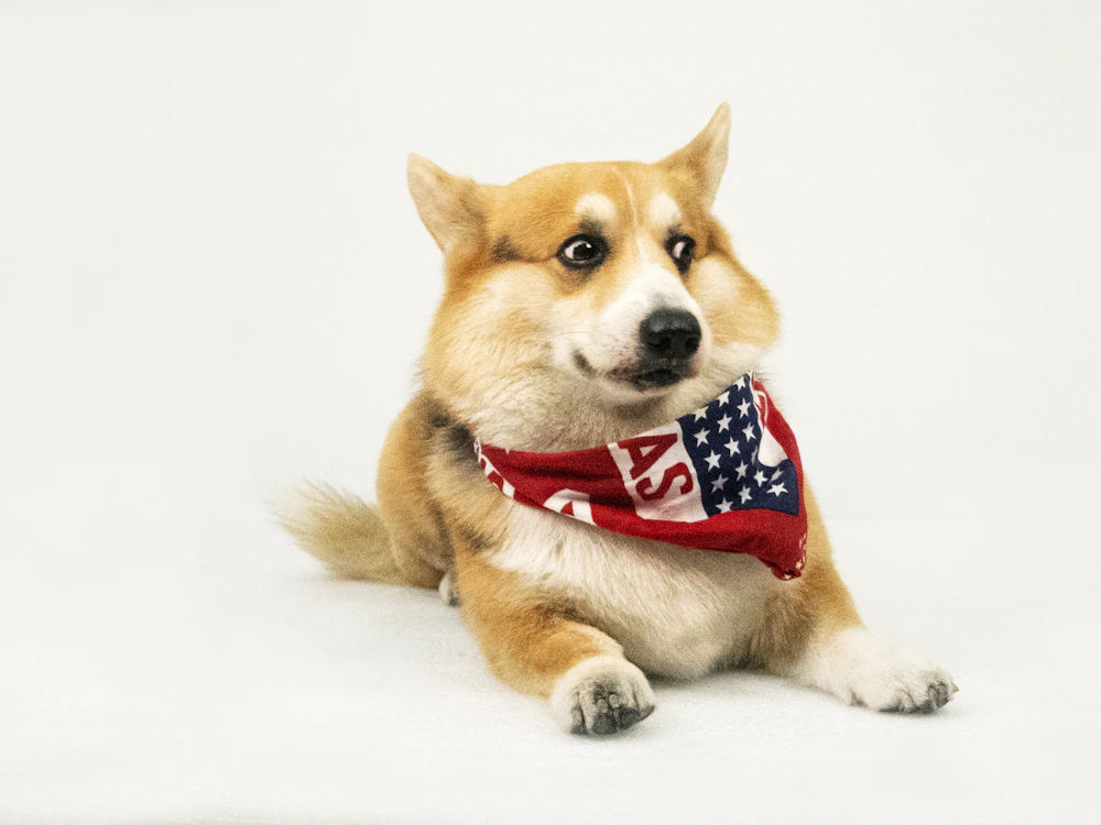 Milo