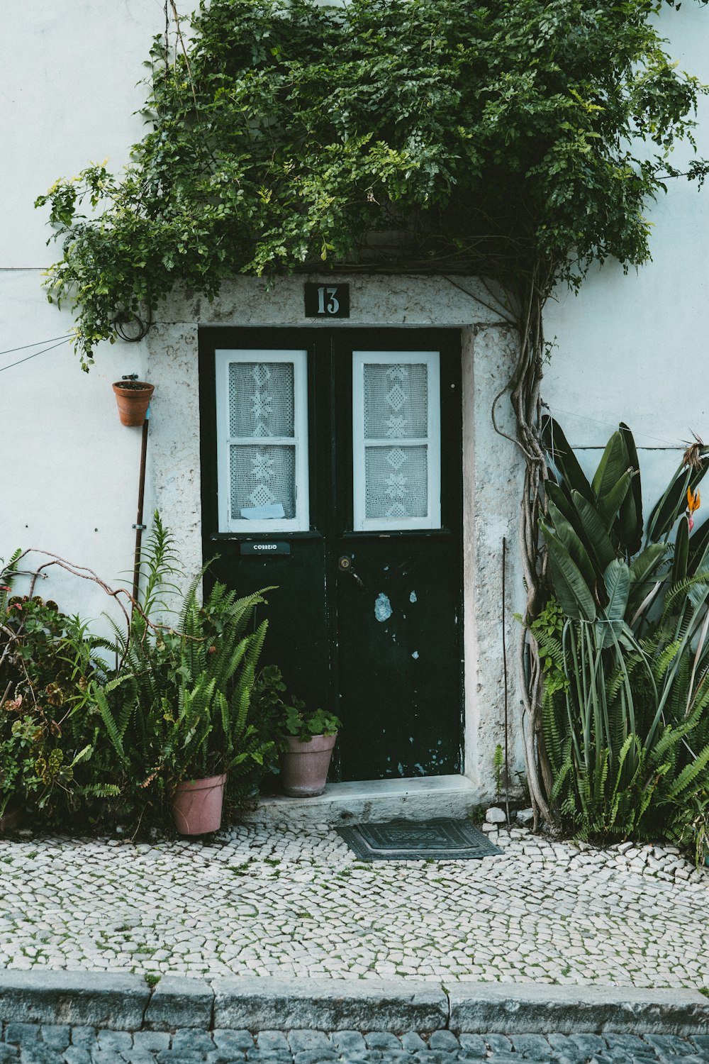 Ein Haus mit einer schwarzen Tür, umgeben von Pflanzen