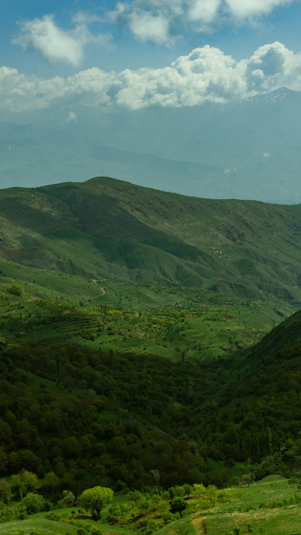 a view of a valley with mountains in the background