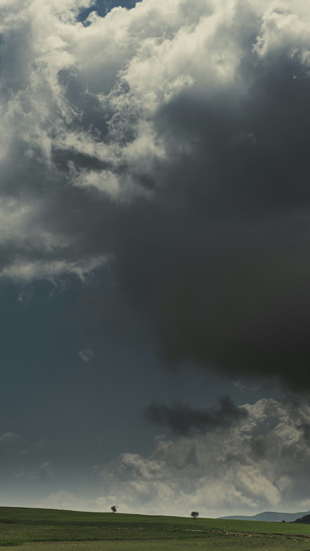 a lone horse standing in a field under a cloudy sky