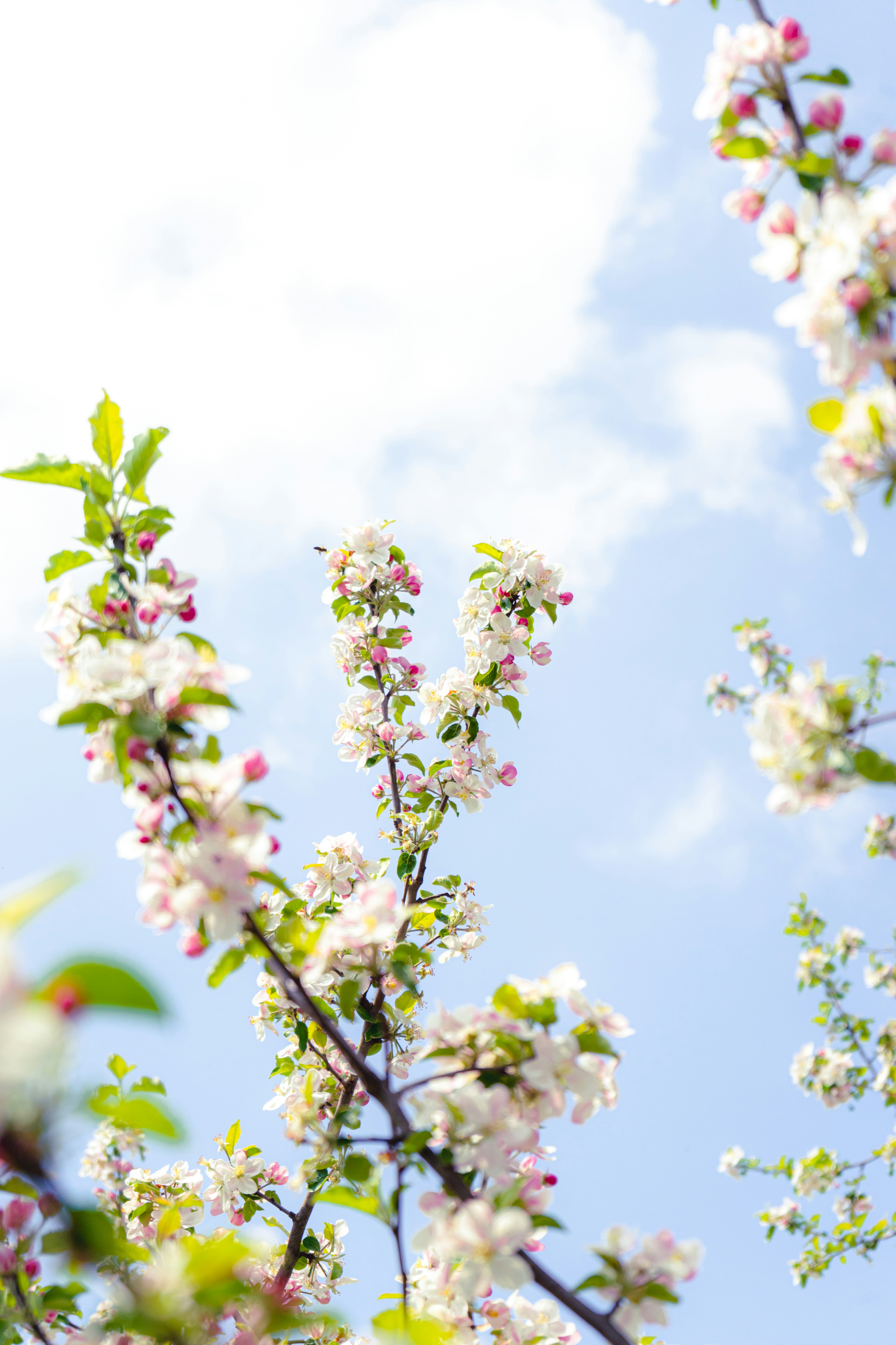 Photo by virussinside