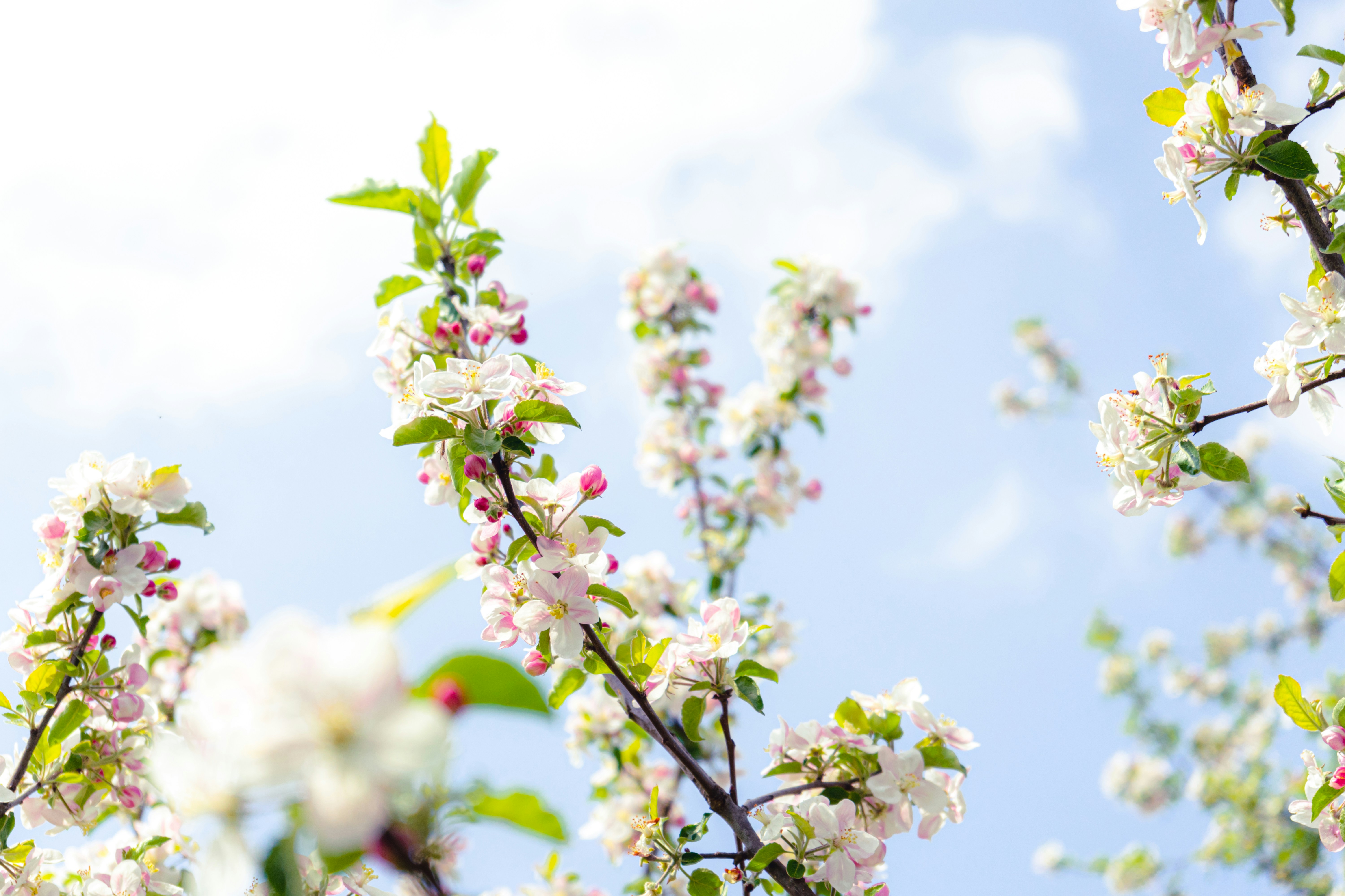 Photo by virussinside