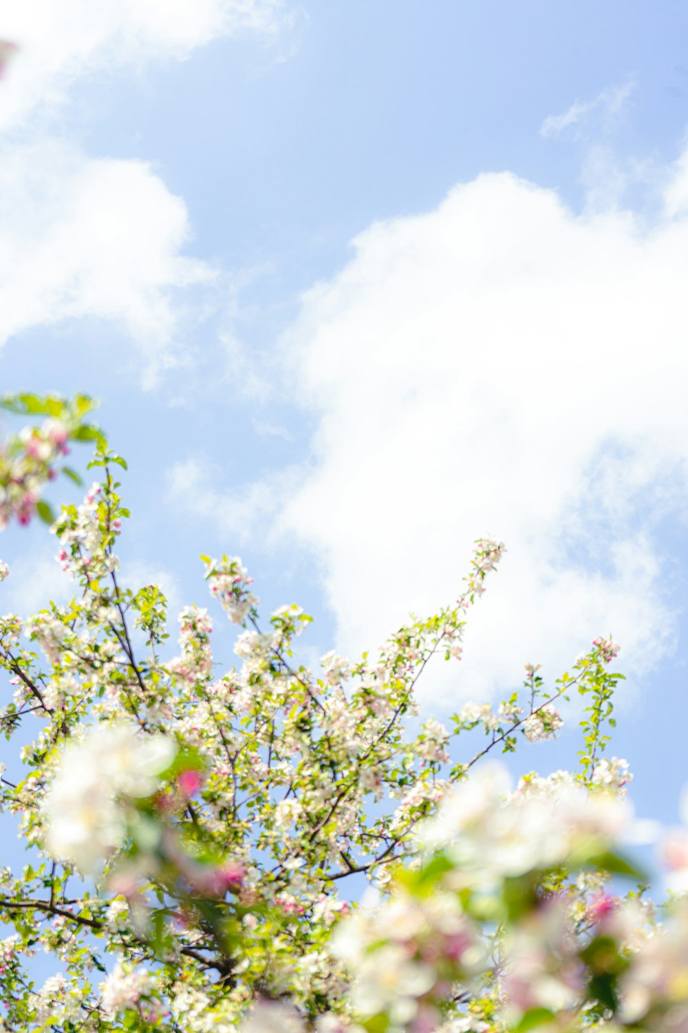 a bird is perched on a tree branch