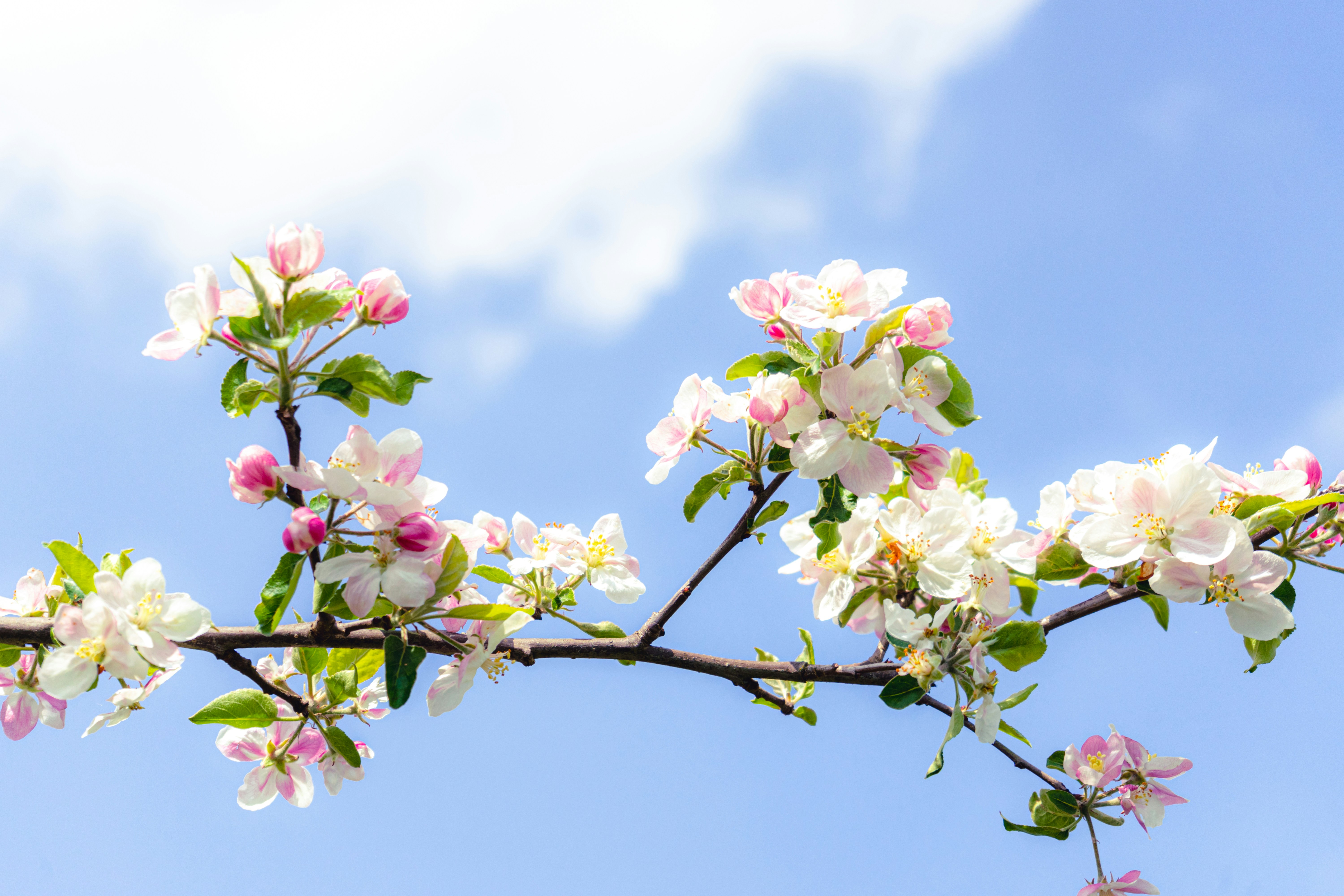 Photo by virussinside