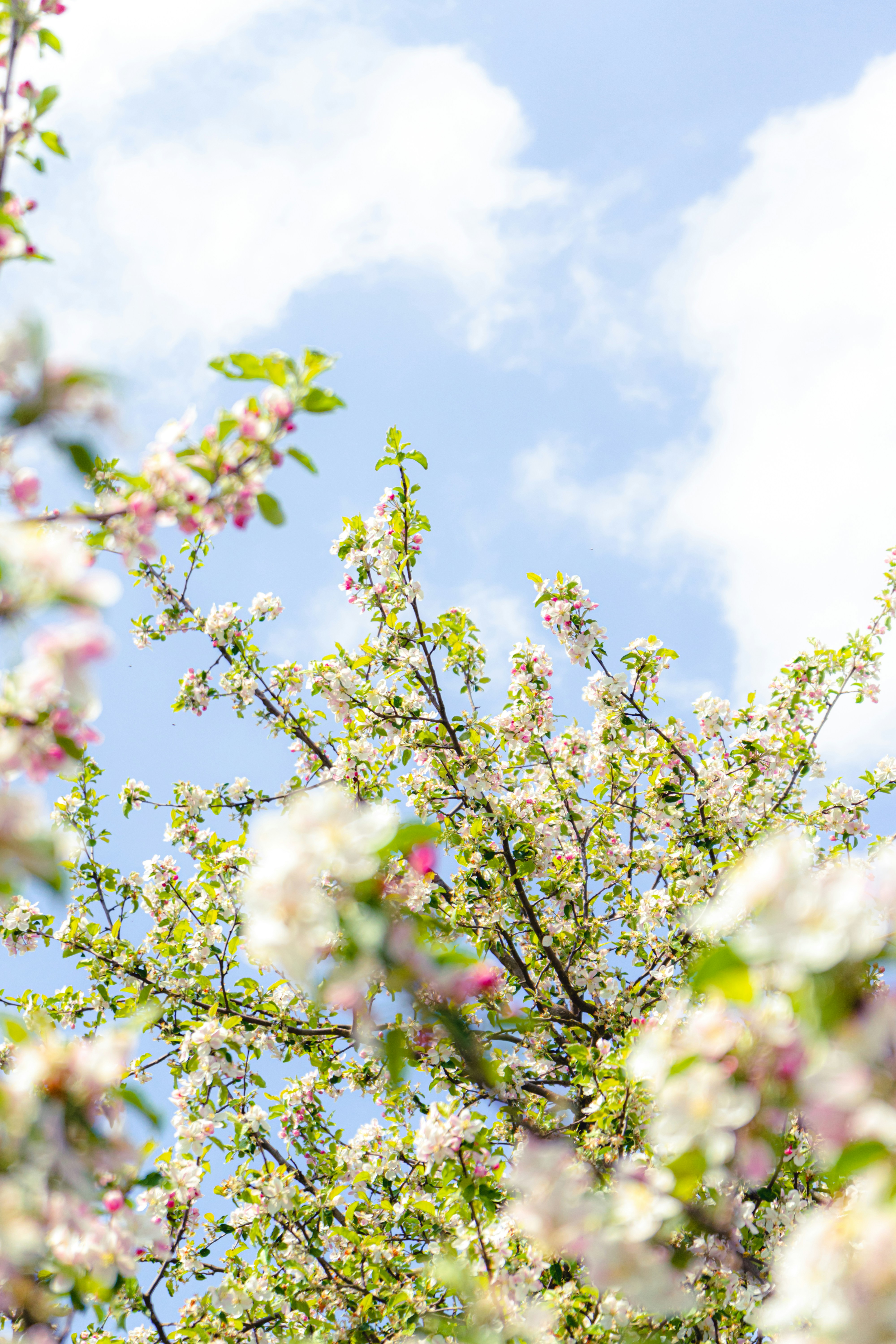 Photo by virussinside