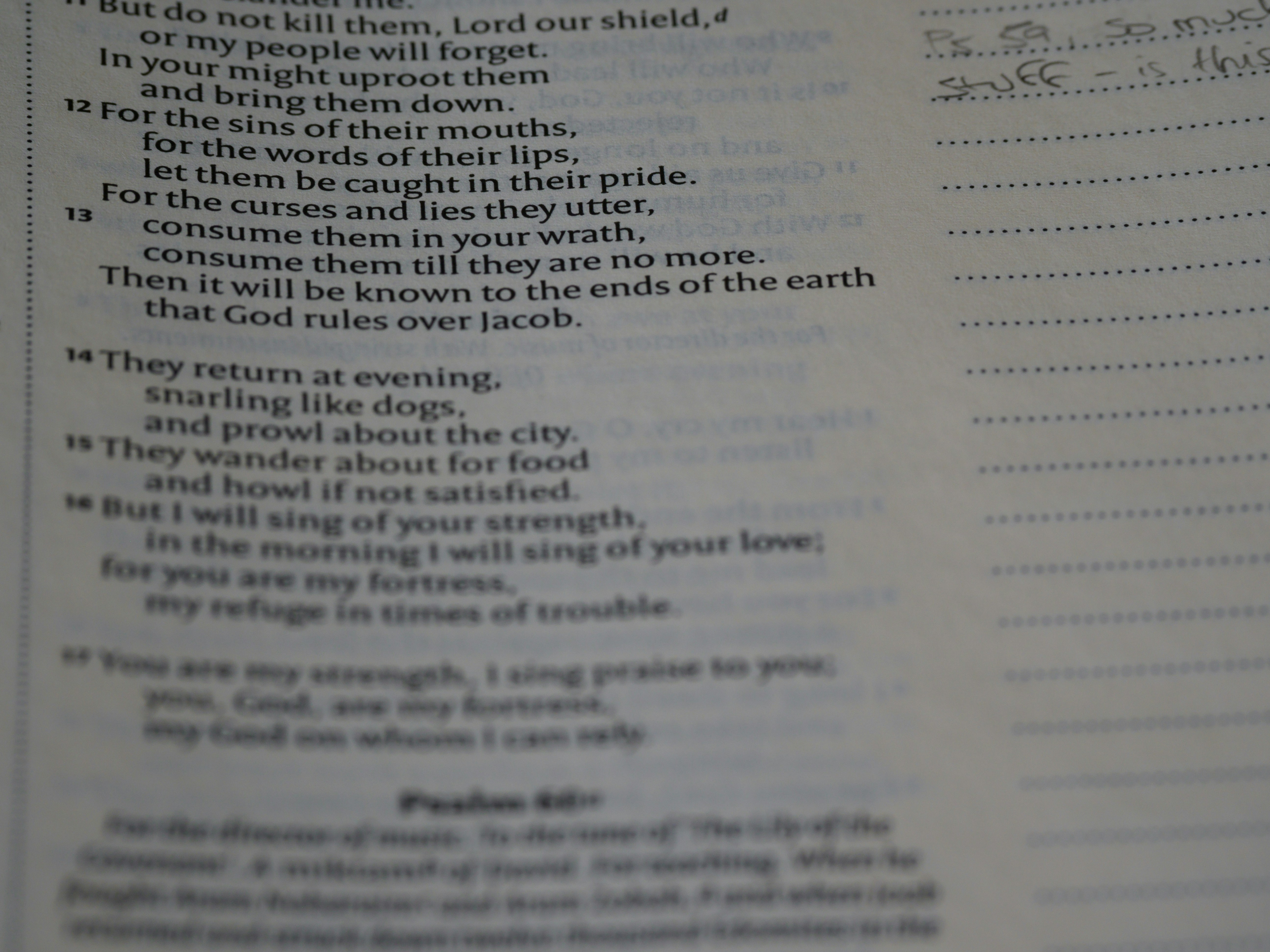 Photo by brett_jordan