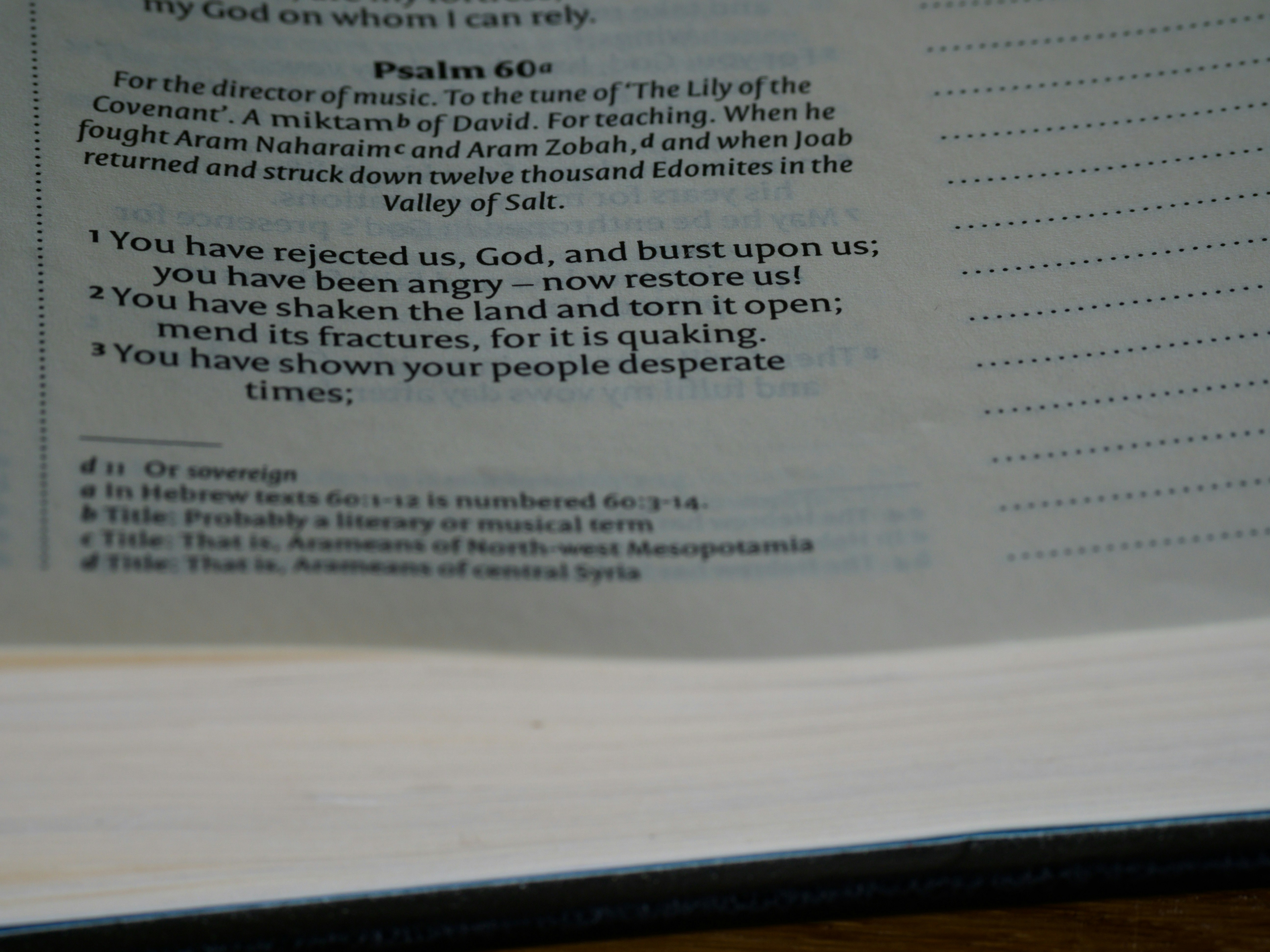 Photo by brett_jordan