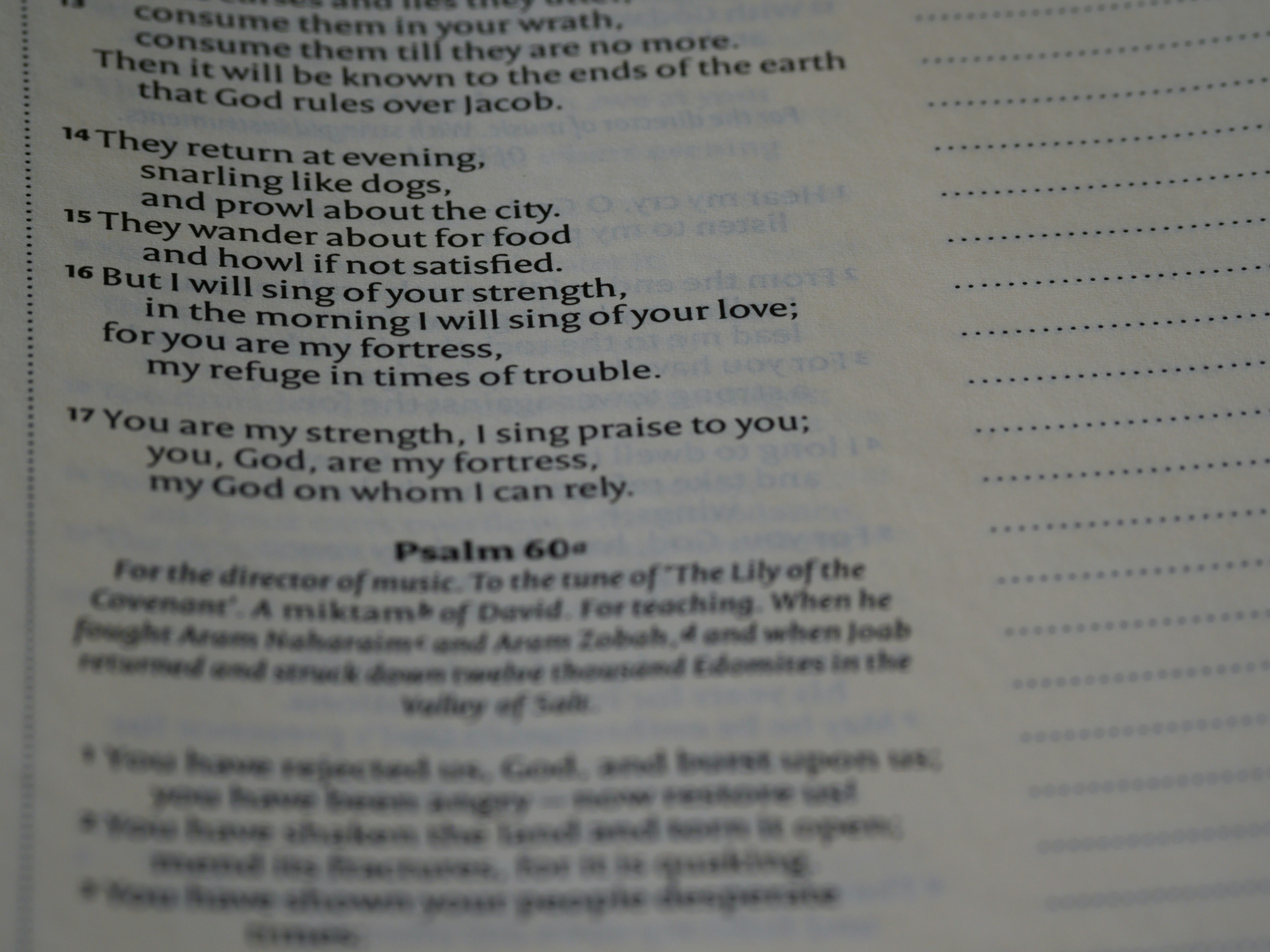 Photo by brett_jordan