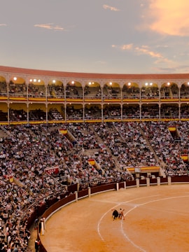 Spectators cheering enthusiastically during a dwarf bullfighting performance