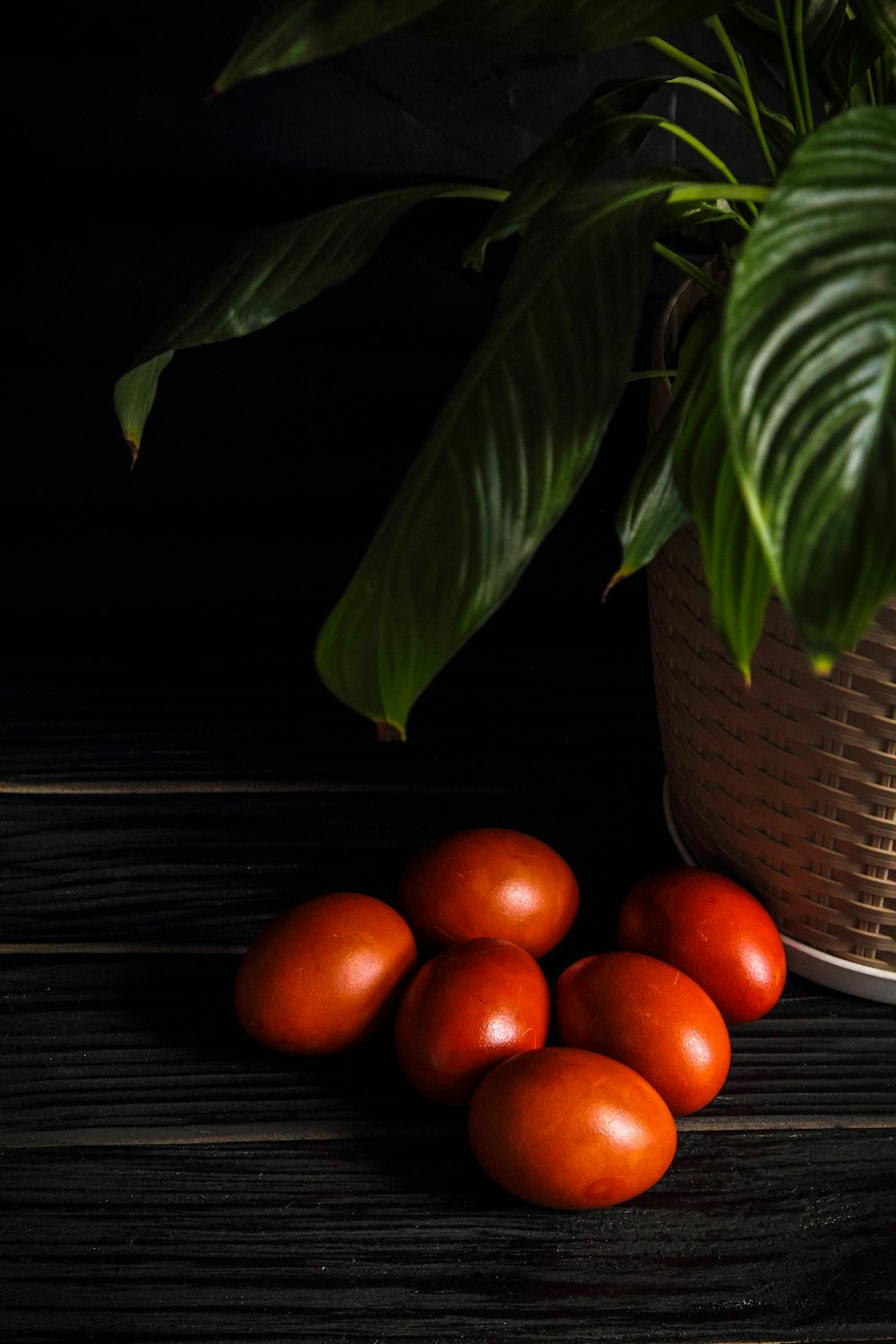 a bunch of tomatoes sitting on a table next to a potted plant