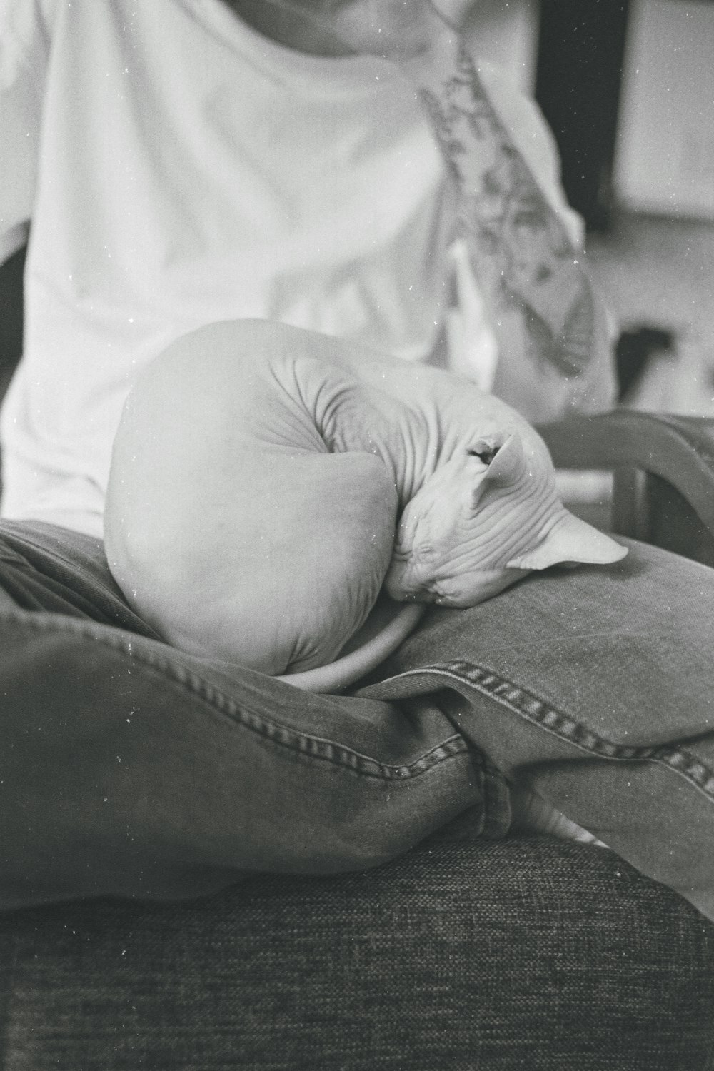 a baby is curled up in a pair of jeans