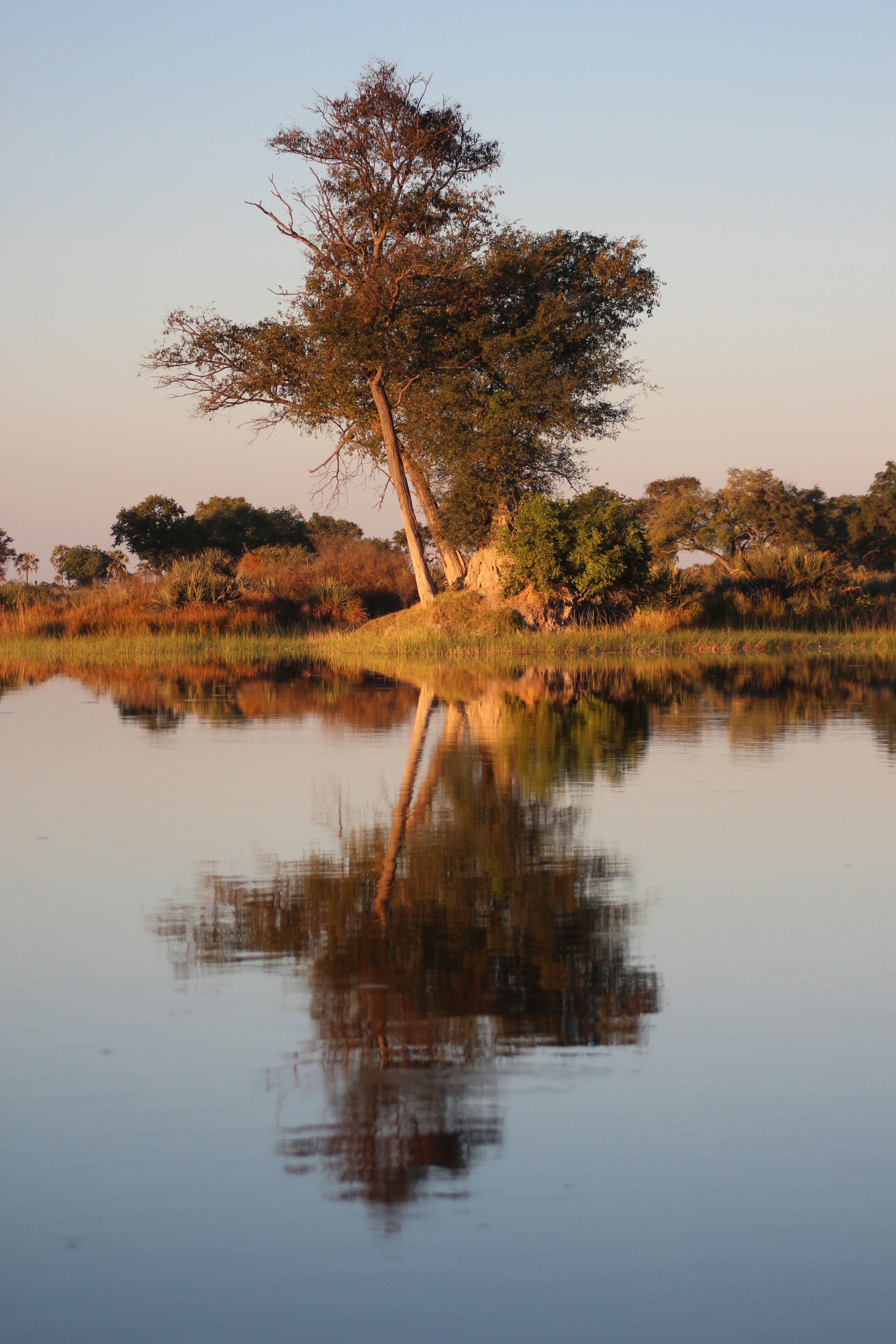 Okavango Delta