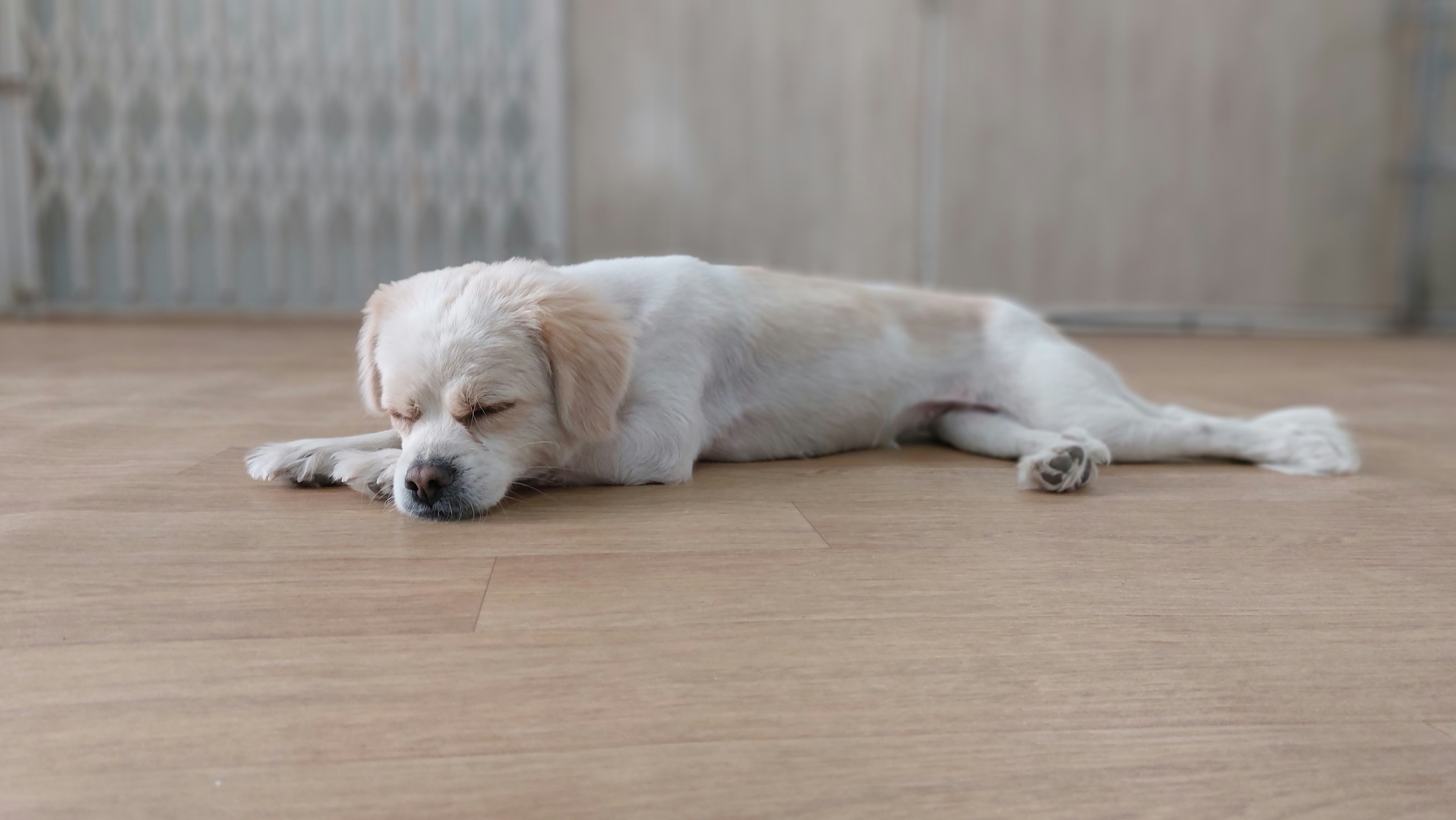 The Side Sleeper: Relaxed and Healthy