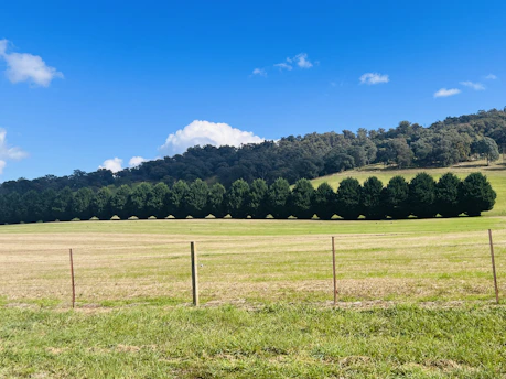 A serene plot of land with clear boundaries under a bright blue sky.