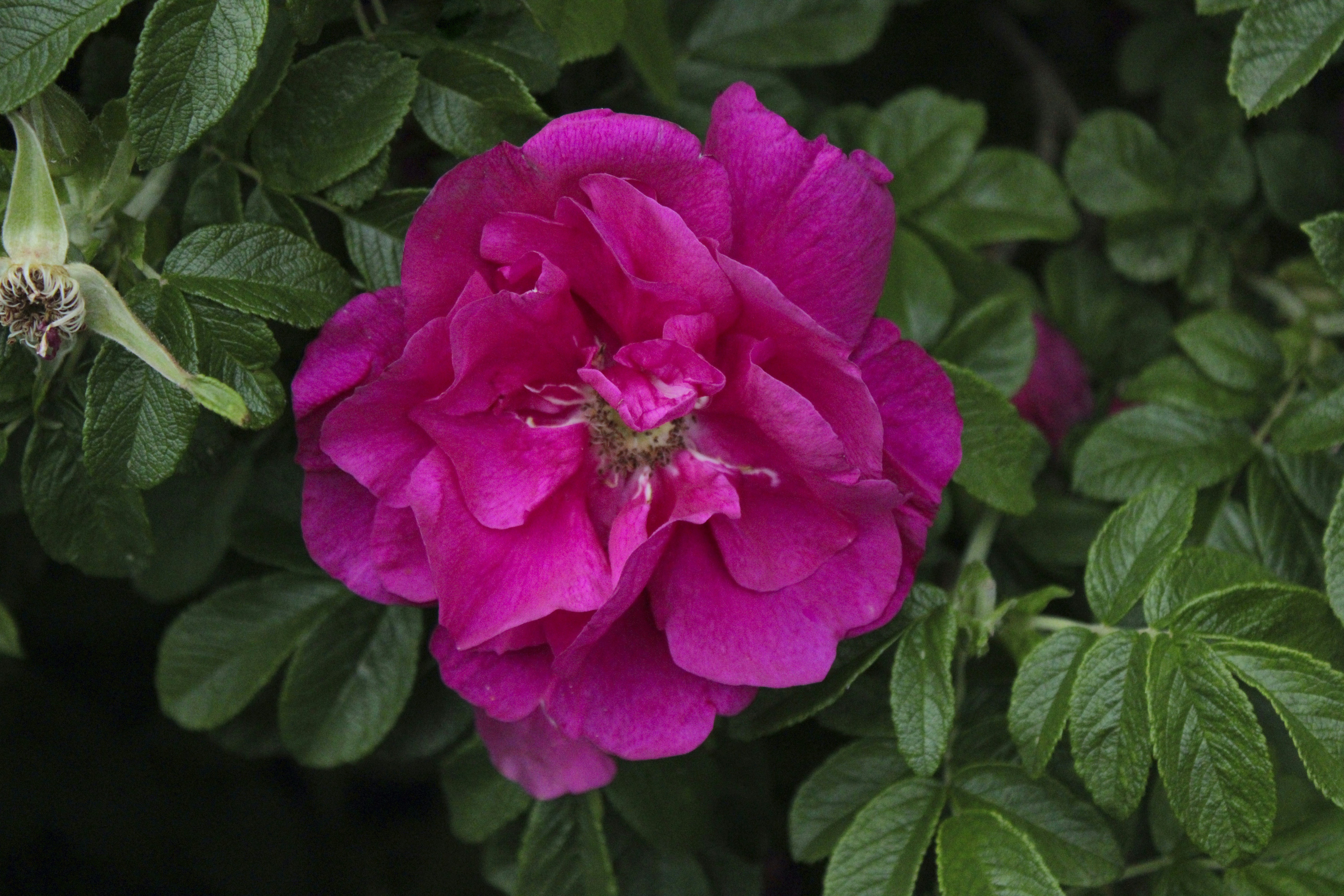 Photo by slenderamigo