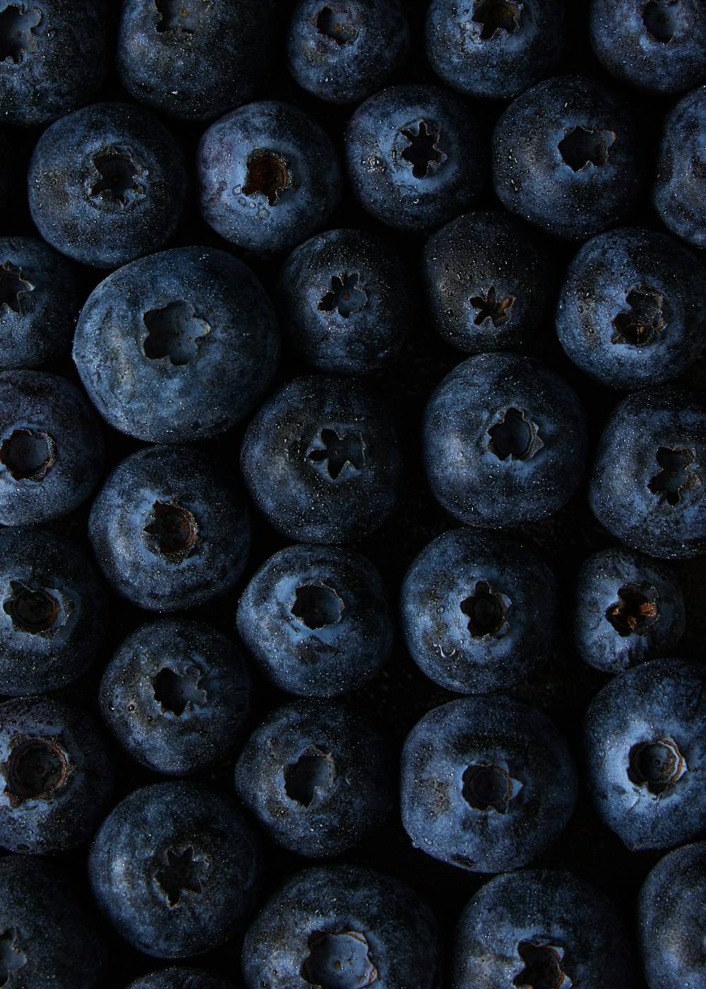 a close up of blueberries with holes in them