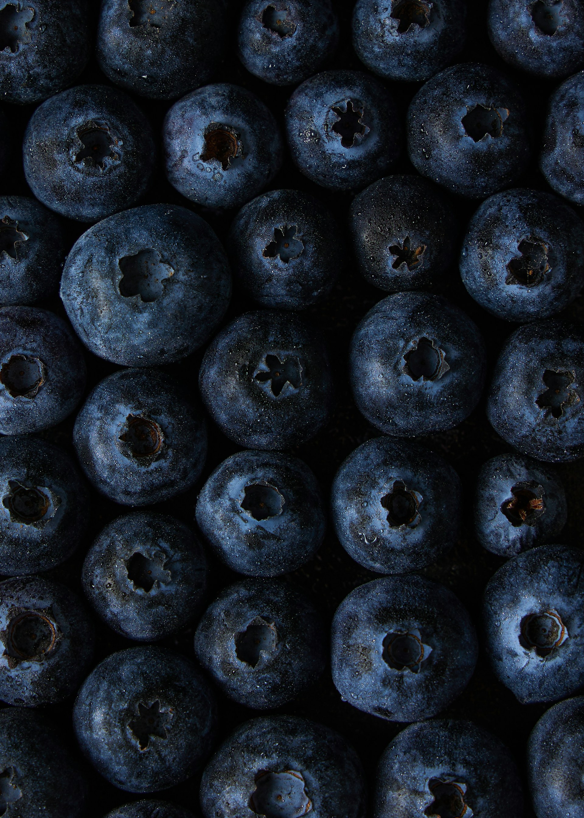 a close up of blueberries with holes in them