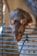 A small brown rat is perched on the bars of a metal cage. Its large black eyes and delicate whiskers are prominent, and its pink ears are perked forward. The metal bars of the cage are blue and the background appears out of focus, emphasizing the subject.