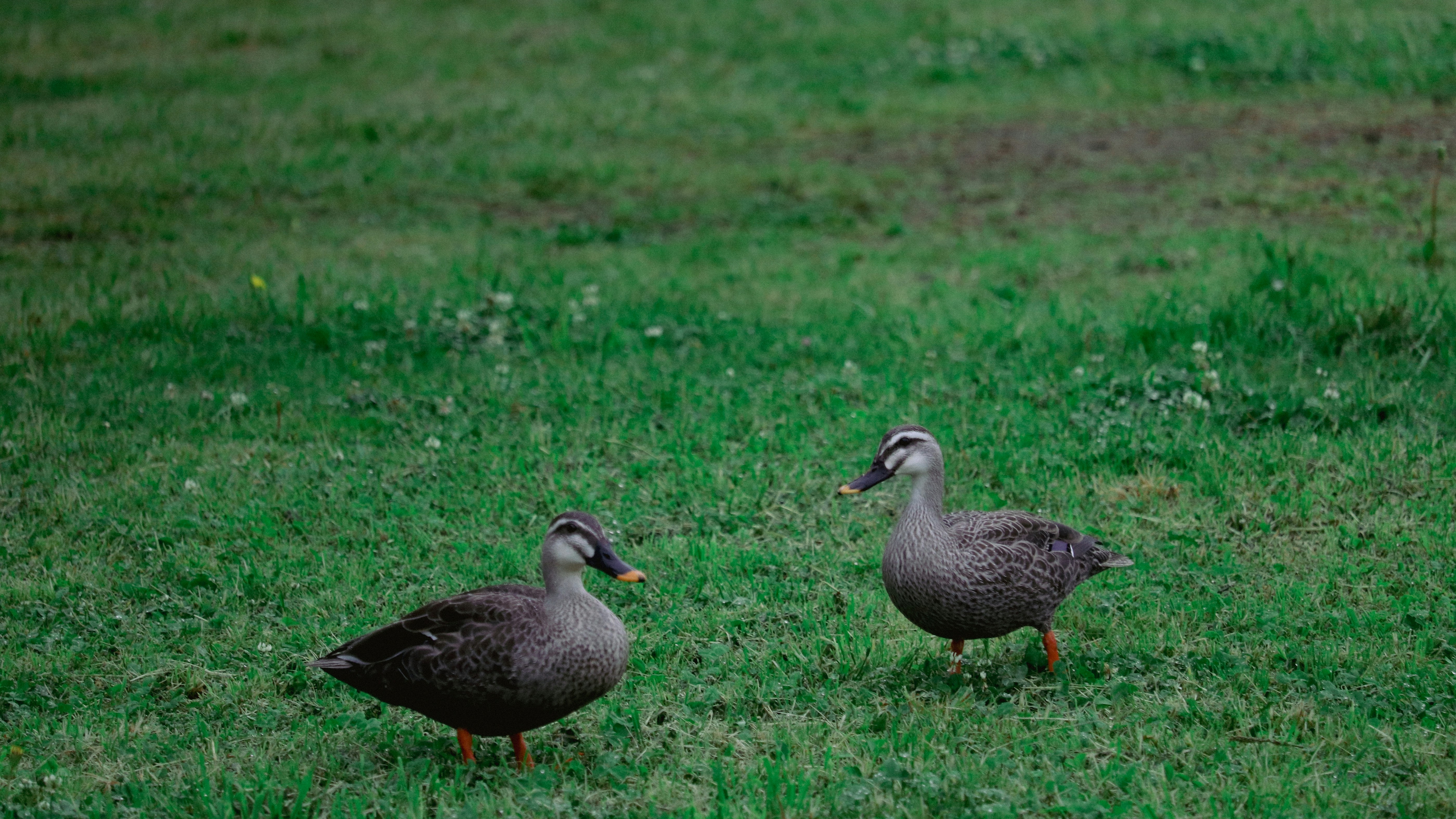 Photo by hiroyukisenn