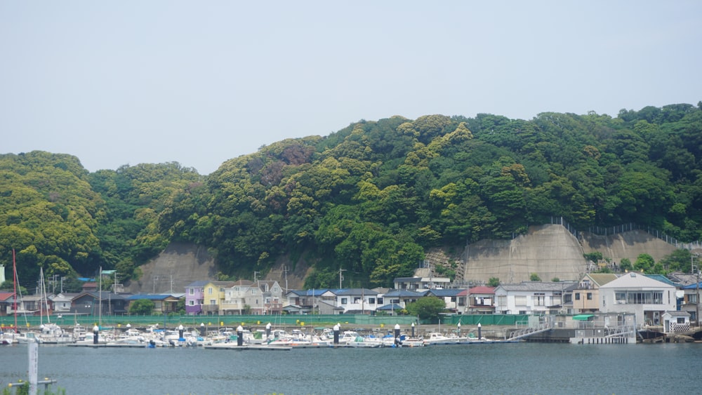 a body of water with a bunch of boats in it