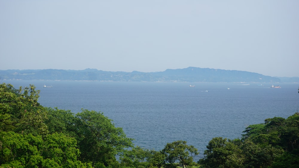 a large body of water surrounded by trees