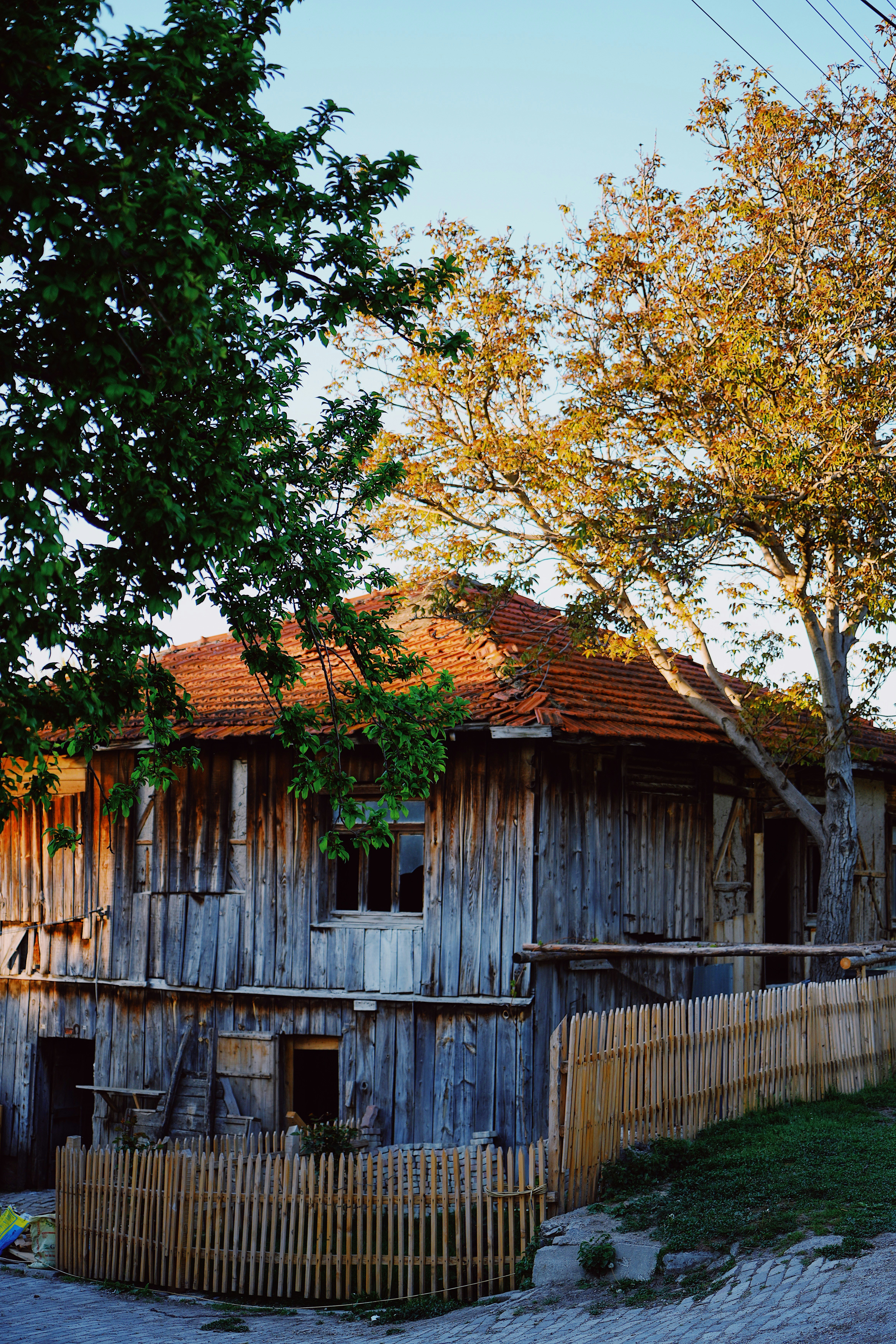 Photo by turgayozturk