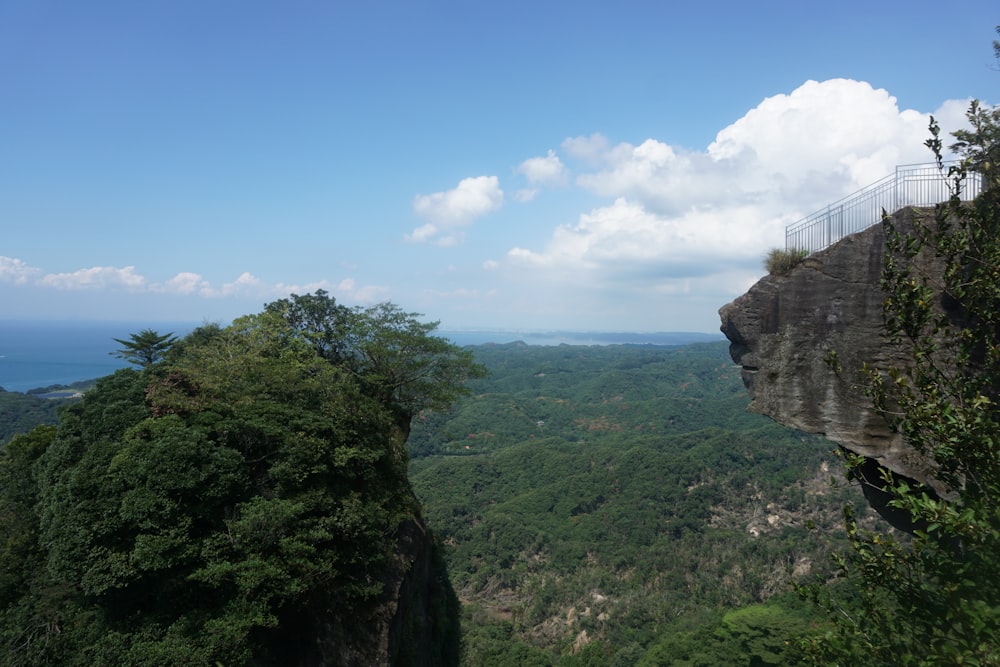 a person standing on top of a cliff